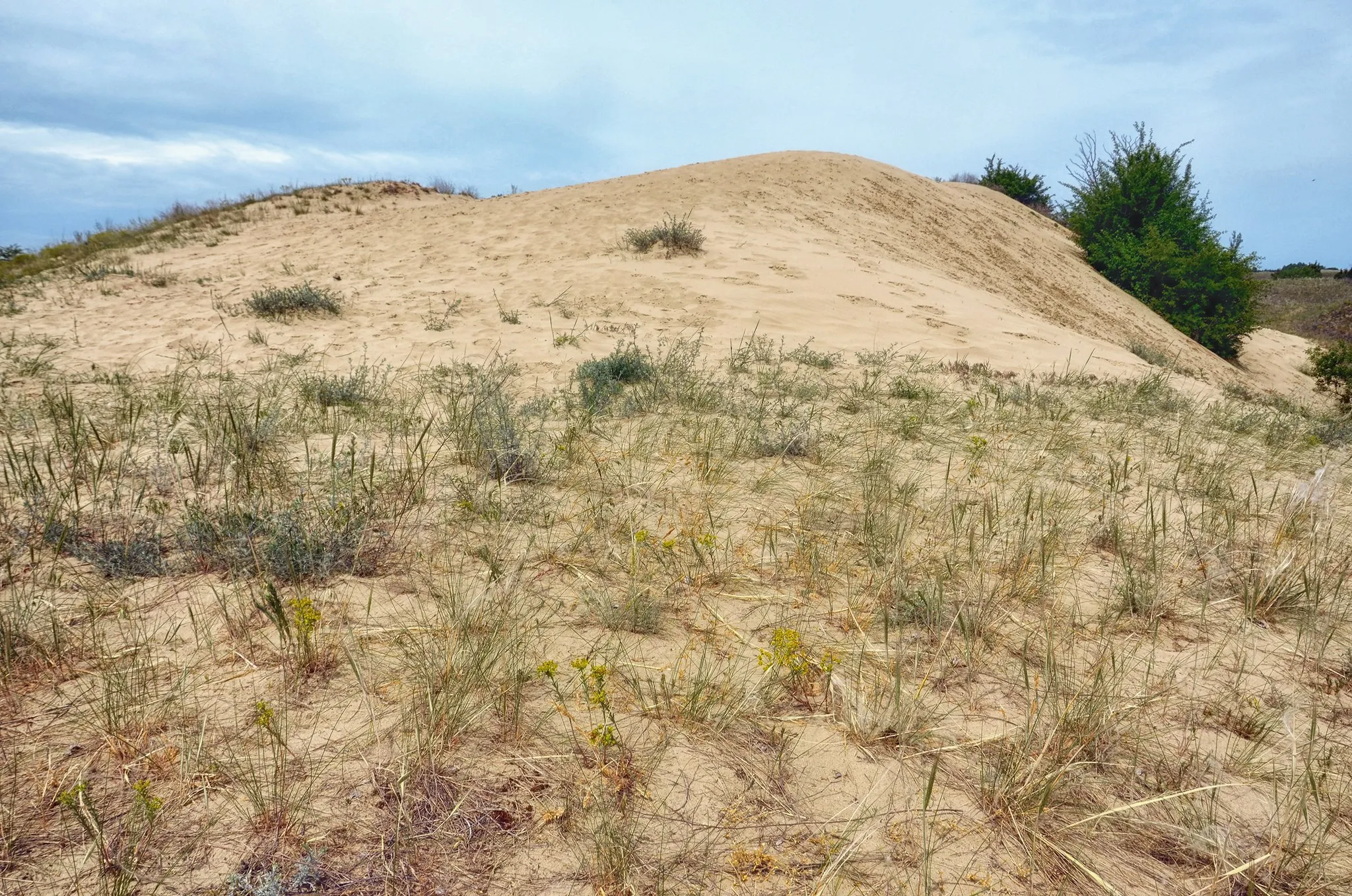 Photo showing: A fülöpházi homokbuckák