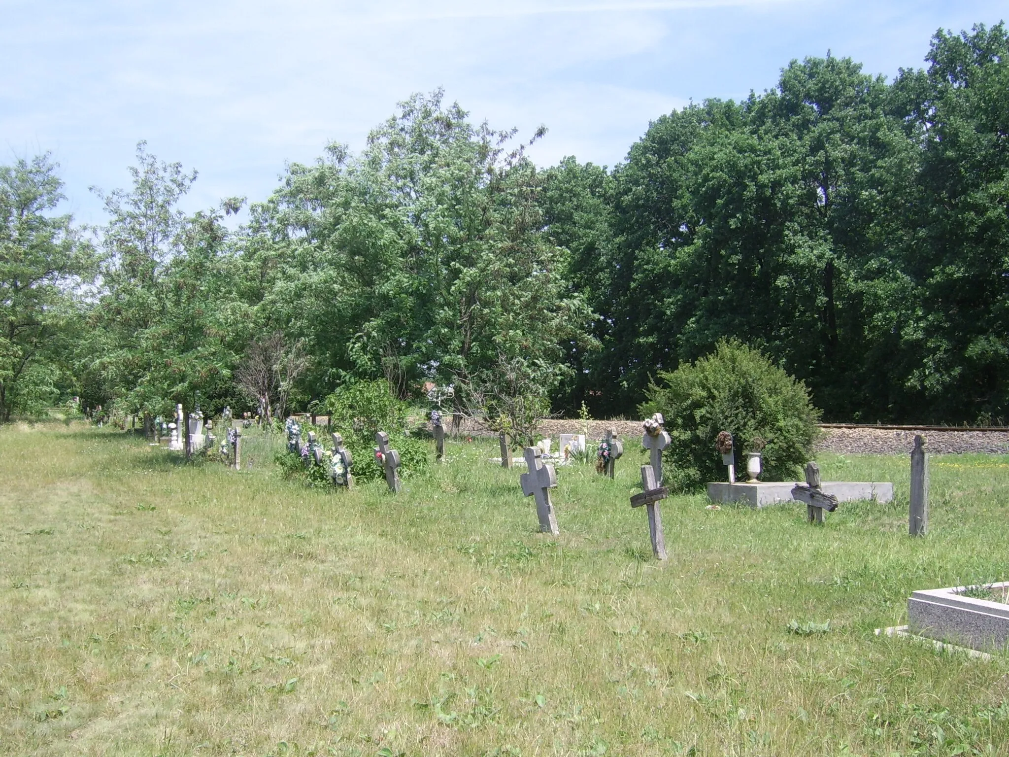 Photo showing: Old, abandoned cemetery in Mártély, Hungary. Year of tha last burial 1955.