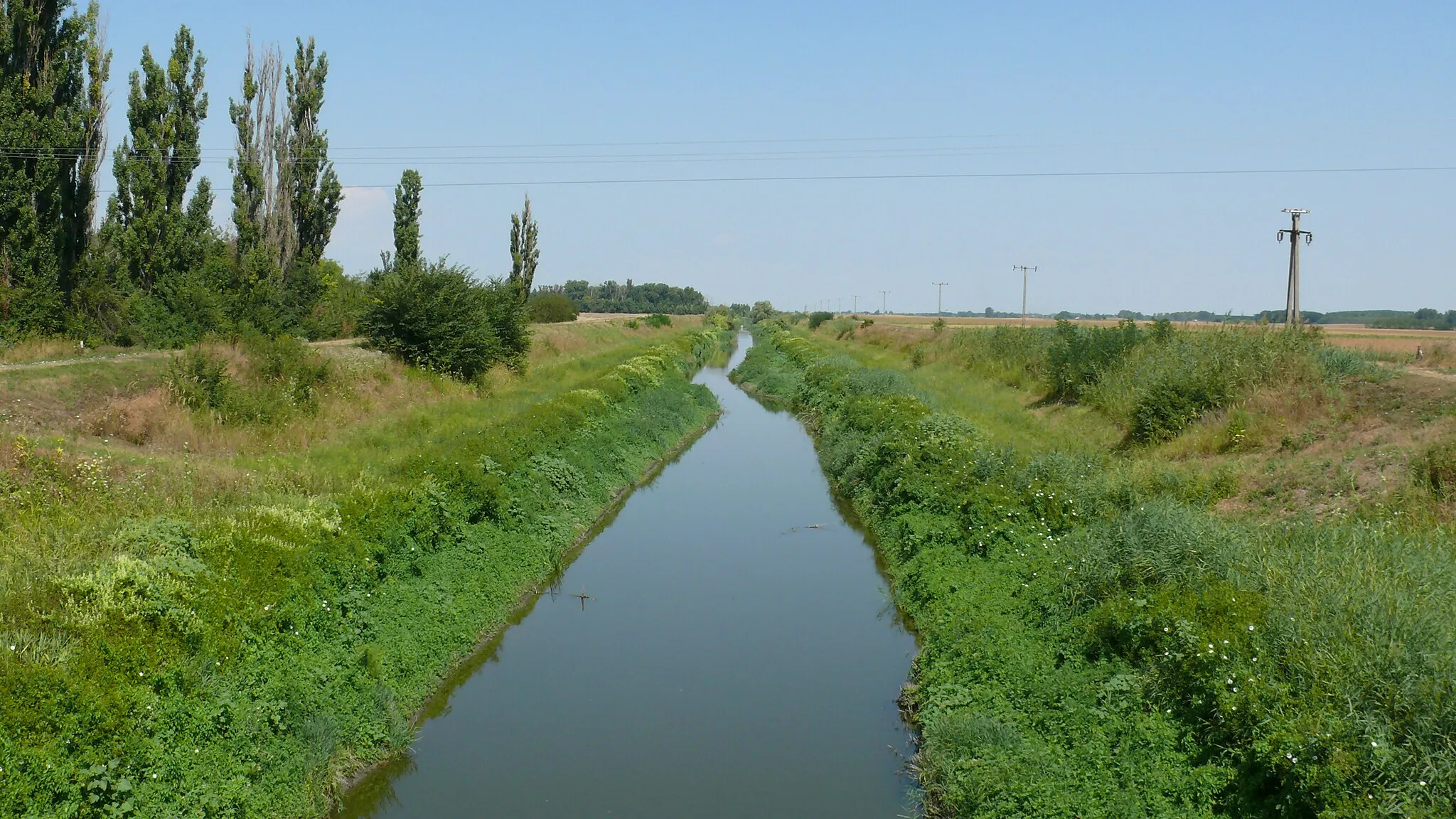 Photo showing: pálfa, sárvíz