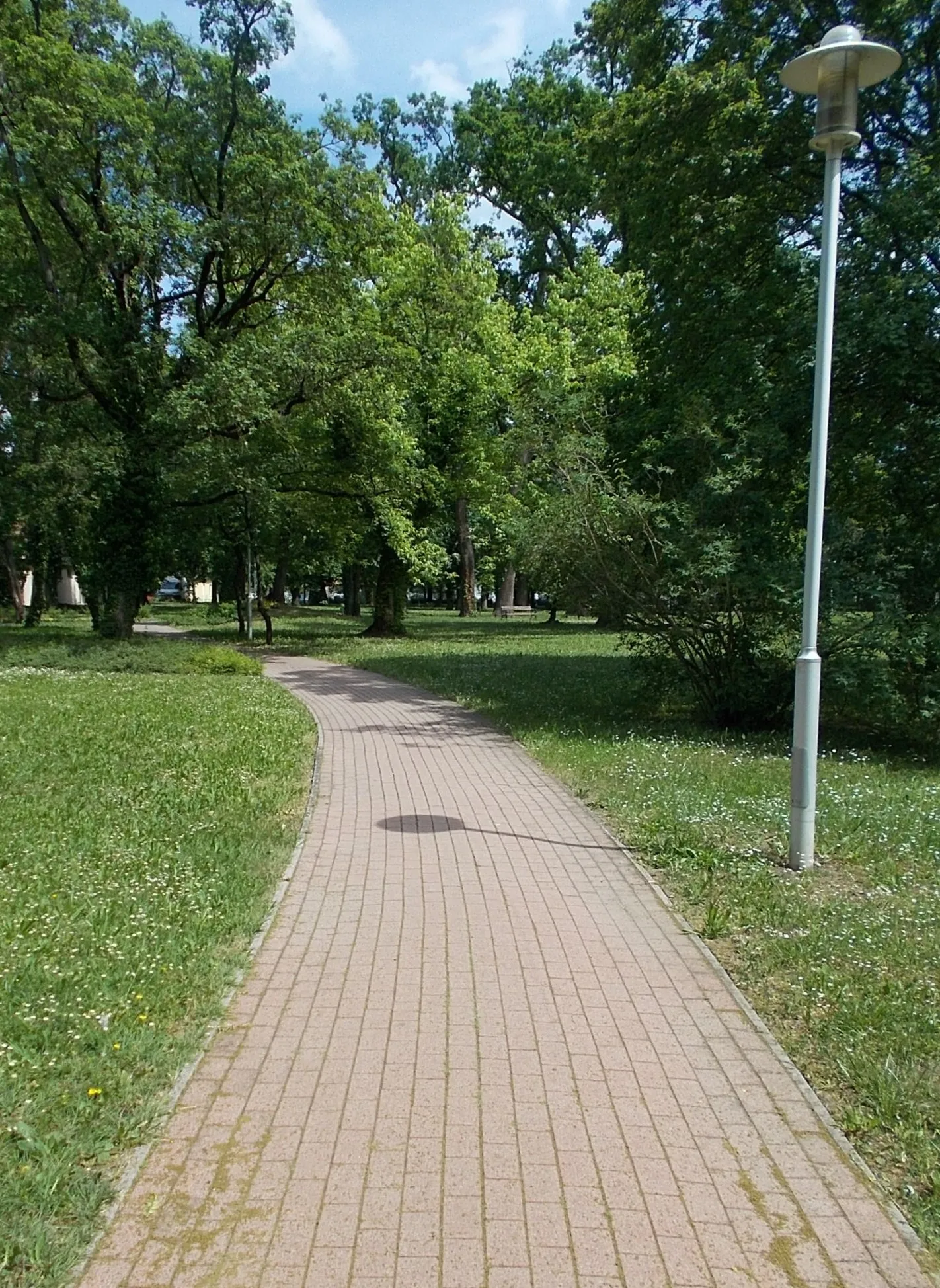 Photo showing: Csigakert (lit. Whorled Garden) is a 'plant ecology display garden'. Local grade Protected Natural Area. Size: 41222m2 (~4hectares). Protescted since 1980. Owned by local government of Gyula. György János Harruckern recieved the manor/estate of Gyula in 1721. He built a Baroque mansion close to Gyula Castle. Around the mansion was a hunting garden/game reserve/ with deers and pheasants, in around 1750 different lakes created in the park for swans, turtles, fish, crabs and vegetable garden, fruit garden, vineyard made. In around 1812 partly remodelled to a landscape garden. The Csigakert (lit. Whorled Garden) is a small remains of this landscape garden. Named after its observatory hill (Csigadomb lit. Whorled Hill) because a spiral walkway lead up to its top. Most of the former mansion park builded-in. From three side bordered by family houses (and hotel), from north the Élővíz-csatorna (lit. Living water canal). In the 1950s the observatory hill replaced by a outdoor theater. After circe 1990 (2000?) the outdoor theater demolished the former spiral walking path symbolically marked. Notable trees in the Park: common oak, Tilia × euchlora, honey locust - between Bethlen Gábor Street, Csiga Street, Mátyás király Street, Part Street, Gyula, Békés County, Hungary.