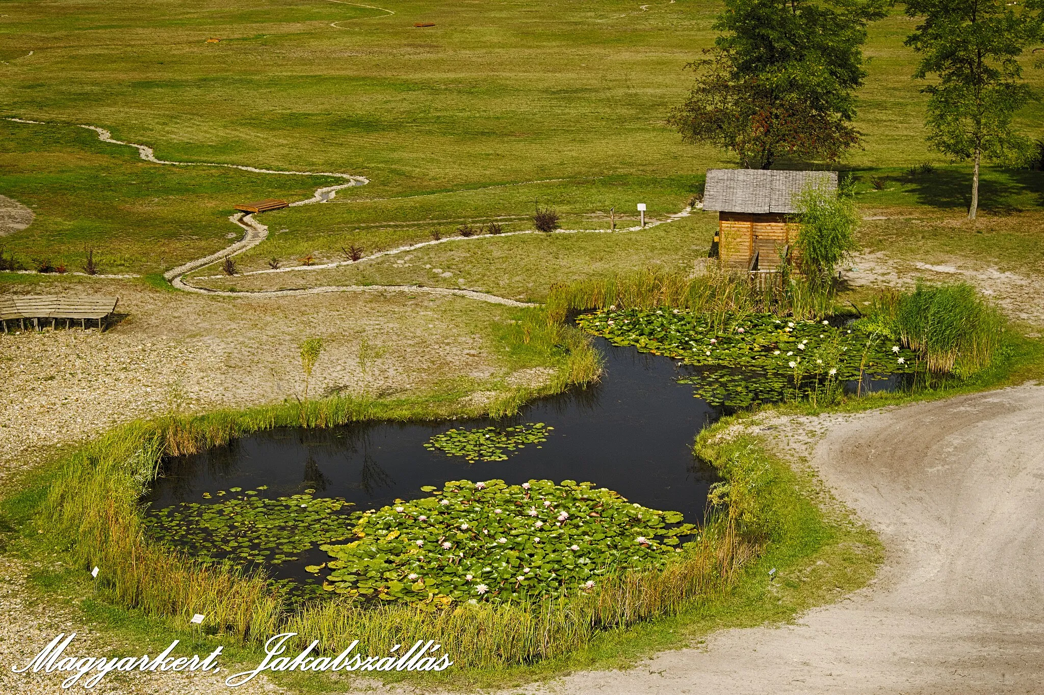 Photo showing: Magyarkert