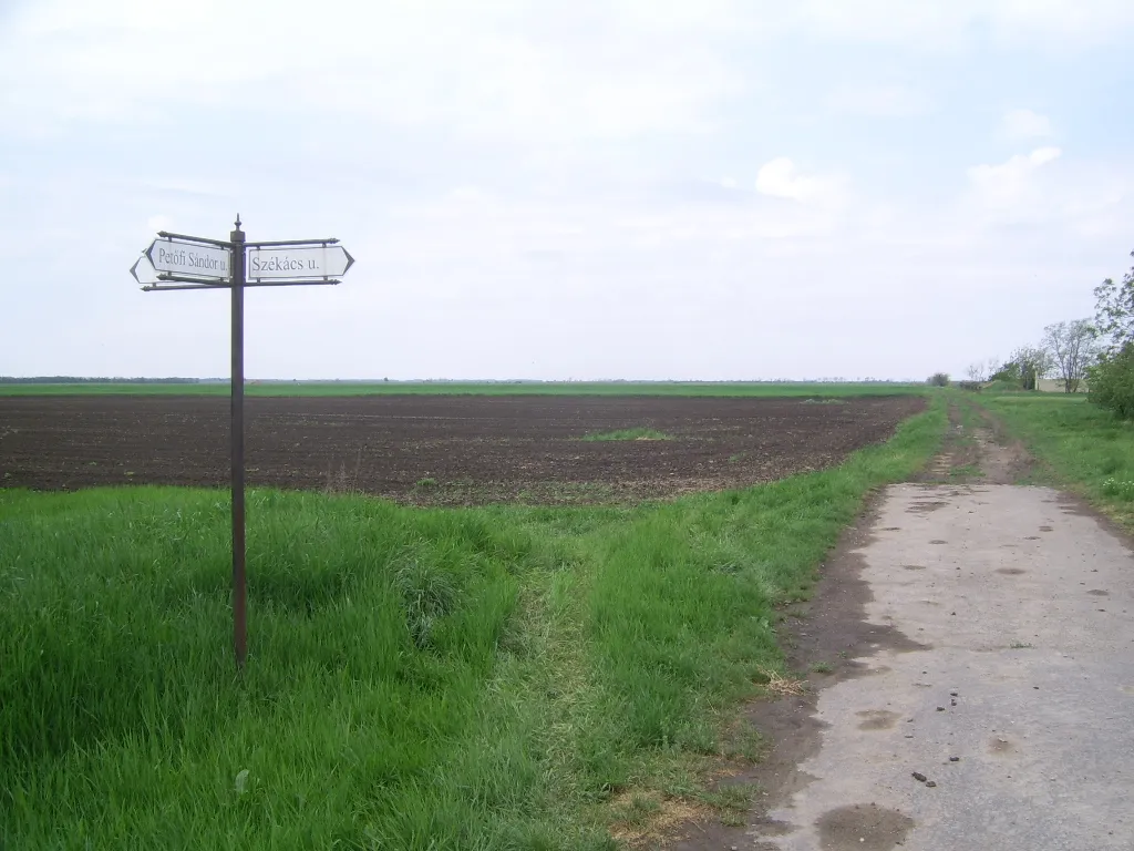 Photo showing: Árpádhalom, Landscape, Hungary