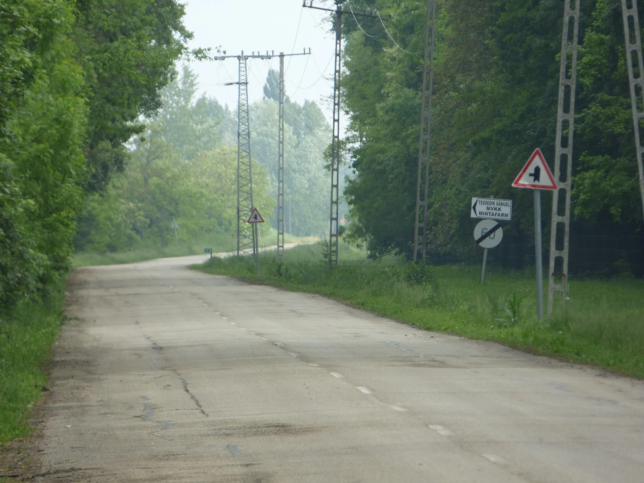 Photo showing: A 4631-es út a szarvasi arborétumnál észak felé