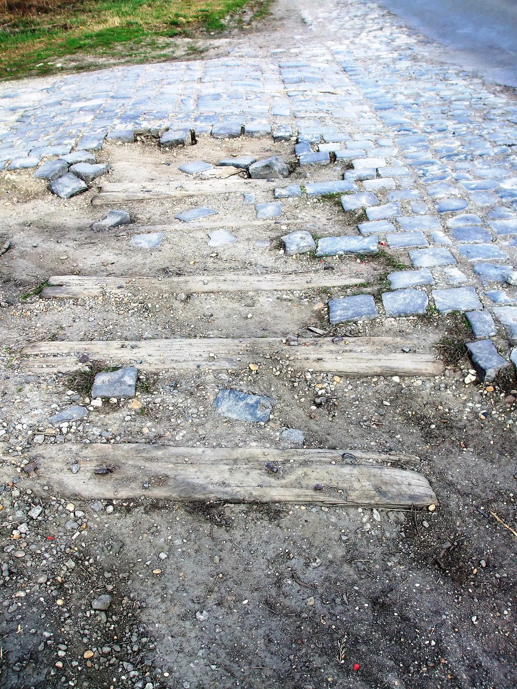 Photo showing: Néhány megmaradt talpfa az egykori szegedi kisvasút hálózatából, Szeged, Terehalmi út