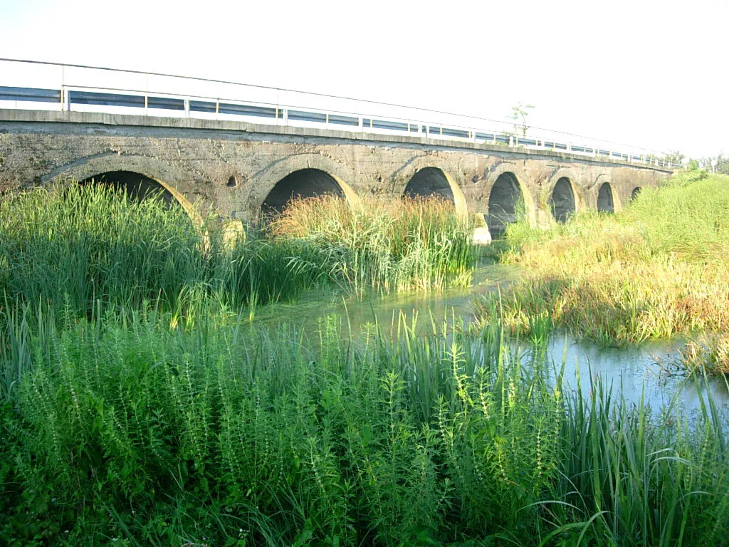Photo showing: Bridge across Zlatica/Aranca River near Crna Bara.