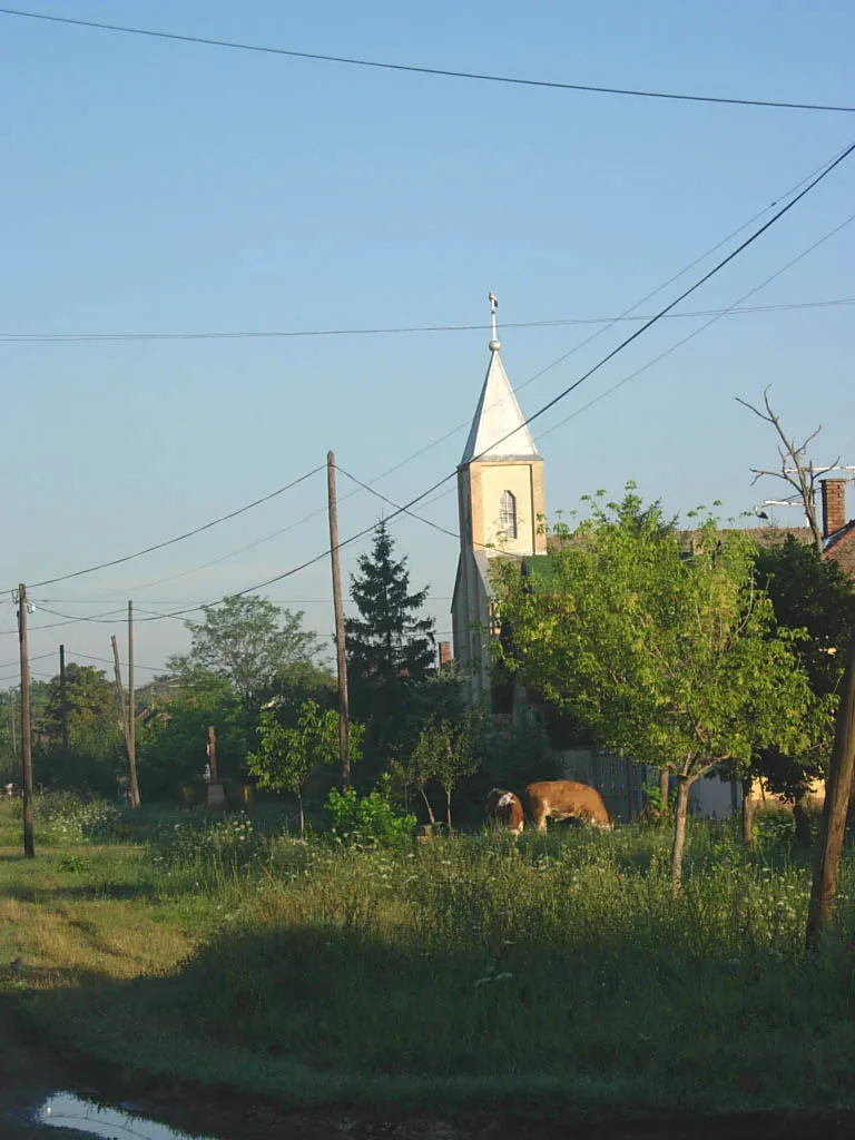 Photo showing: The St. Vendelin abbot Catholic Church in Crna Bara.