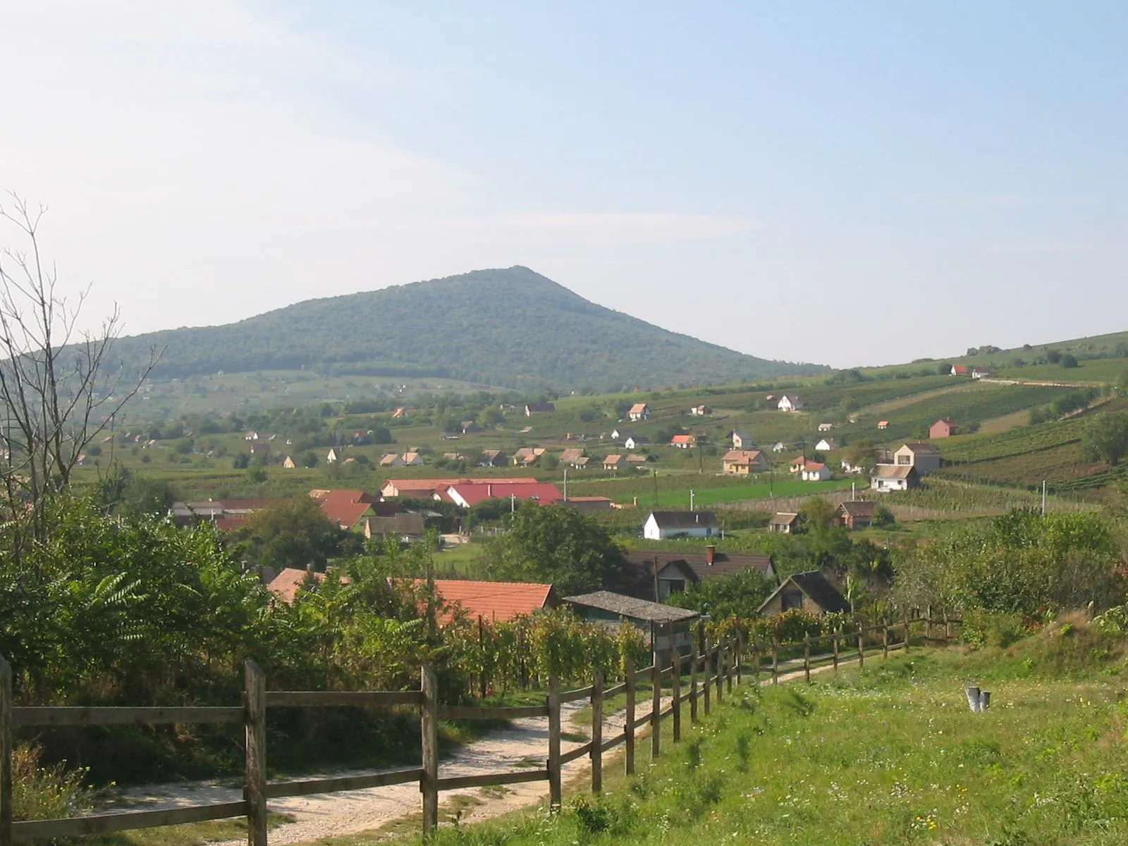 Photo showing: Grape plantations near Villány, in Southern Hungary. In the background, you can observe the mountain named "Szársomlyó".
Szőlültetvények Villány közelében, Dél-Magyarországon. A háttérben a "Szársomlyó" nevű hegyet figyelheted meg.