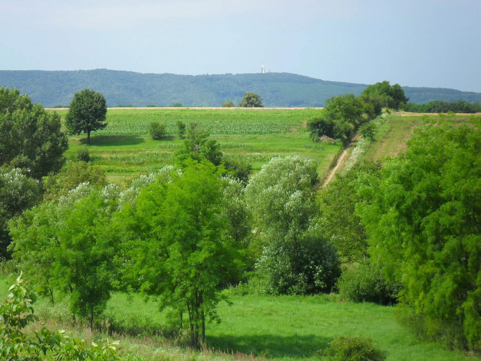 Photo showing: Tenkes az átai temetőből