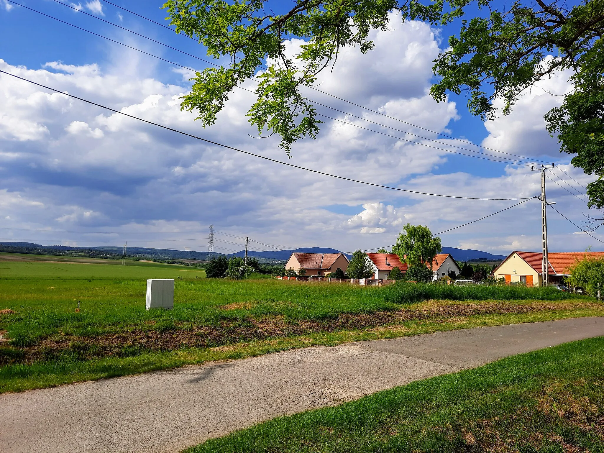 Photo showing: Bogád, Mecsek