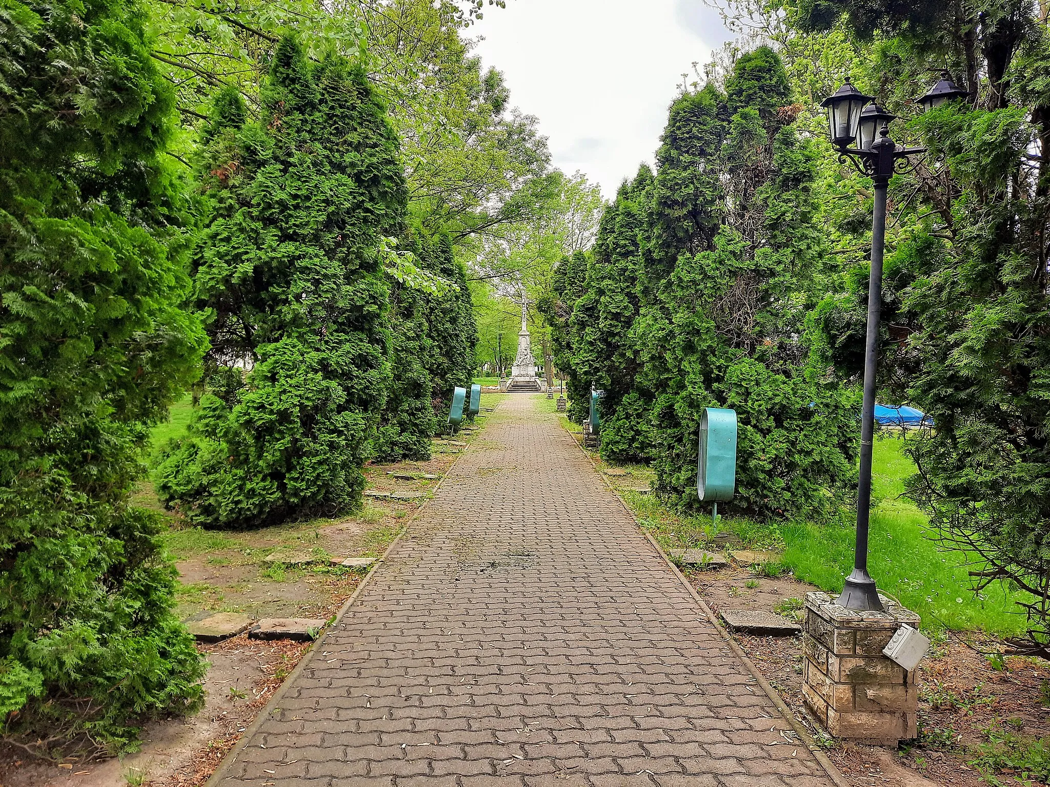 Photo showing: Vásárosdombó, park