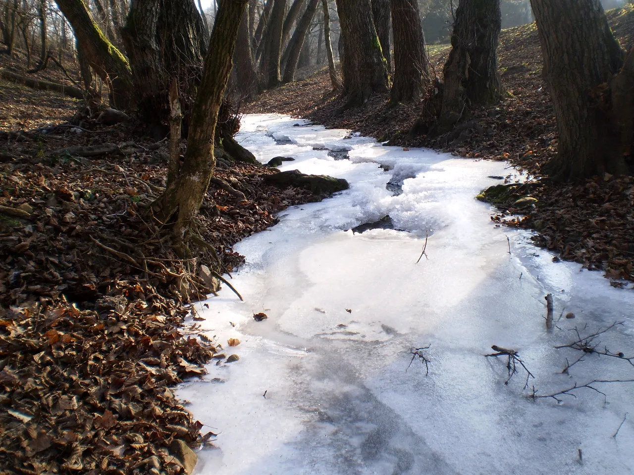 Photo showing: A Váraljai-patak télen (Tolna megye)