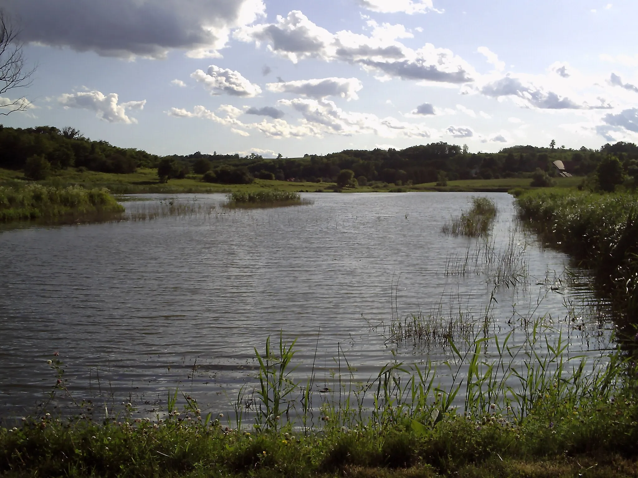 Photo showing: An artificial pond built for flood control purposes, Bárdudvarnok.