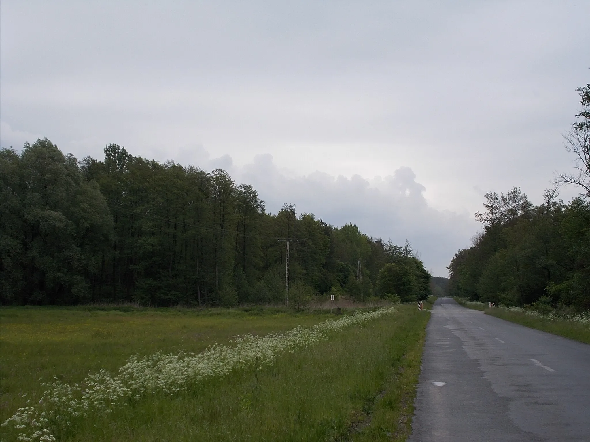 Photo showing: Somogysimonyi - a község határában (Nemesvid-Somogysimonyi út)