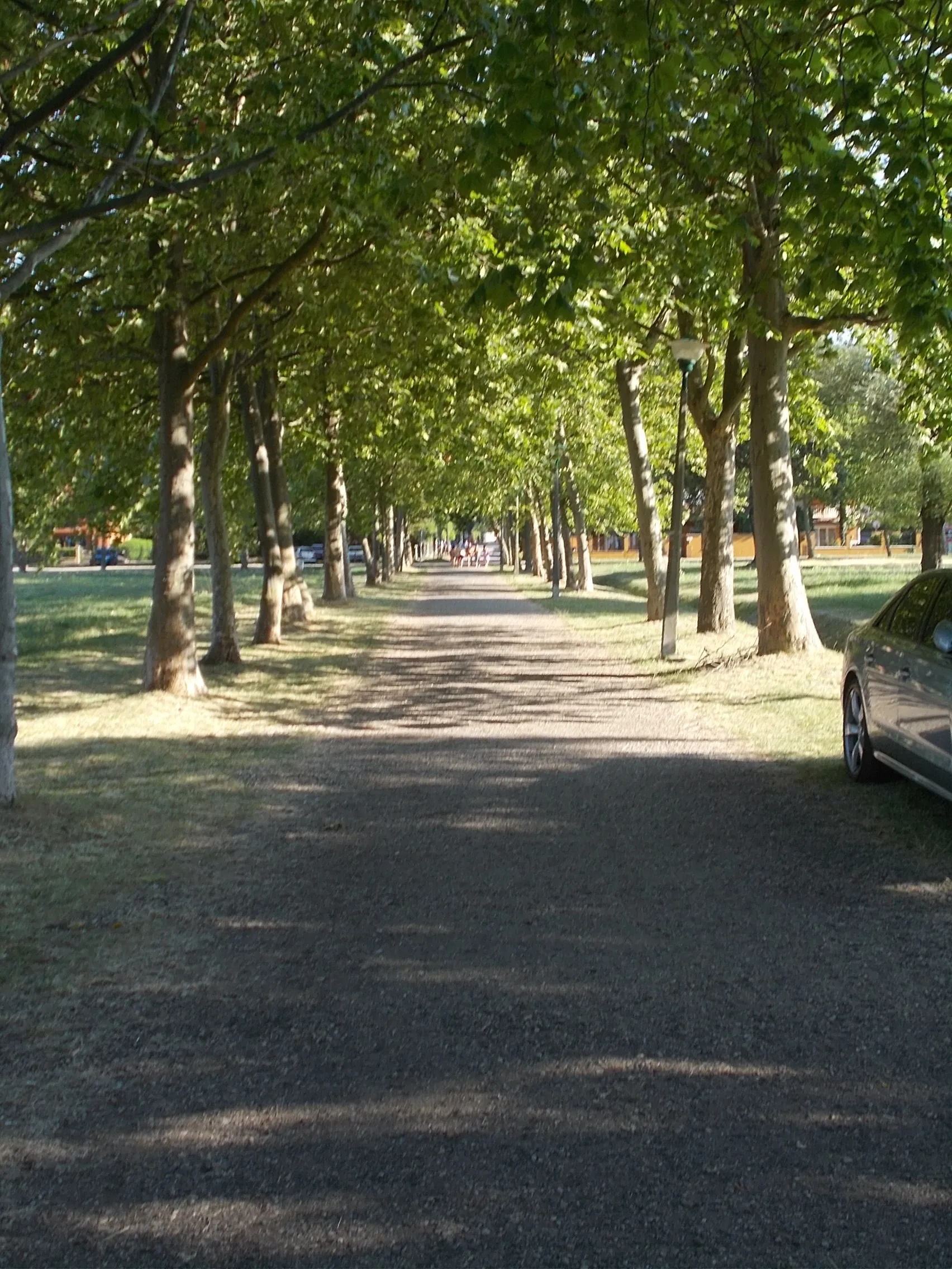 Photo showing: 'Avenue', a tree-lined, car free road from Margó Ede Promenade, free beach of Zamárdi, Somogy County, Hungary.