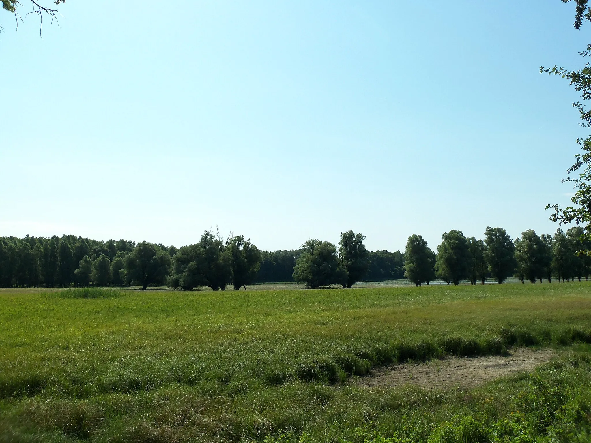 Photo showing: Malomtelelő lake near the lookout tower of the nature trail, in Gemenc forest, Hungary