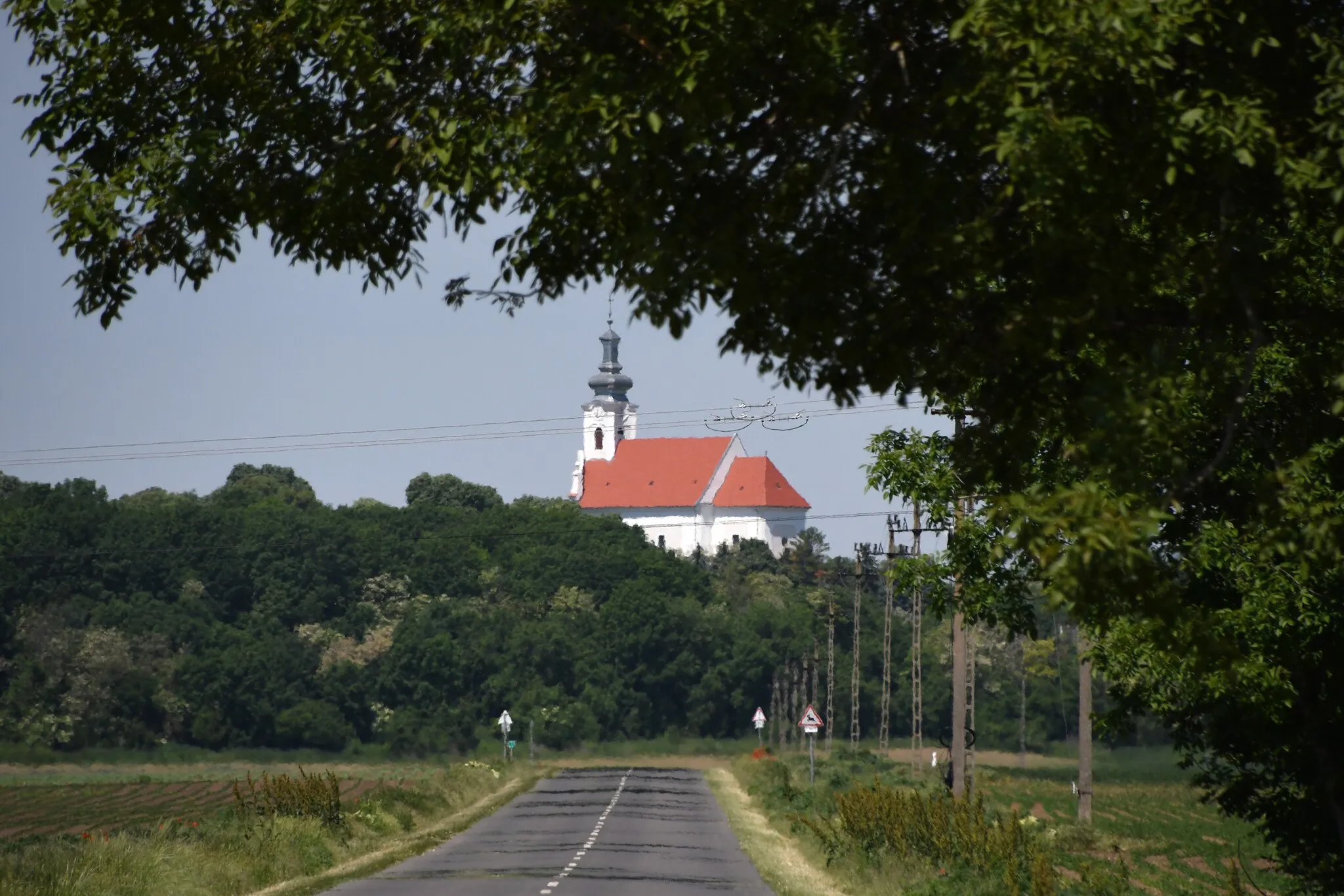 Photo showing: Road to Nagynyárád from southeast