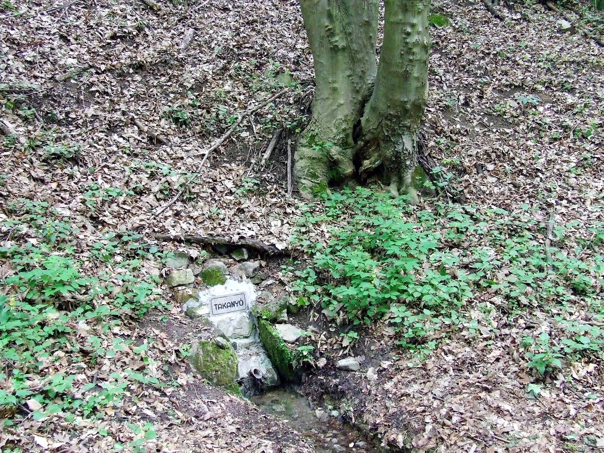 Photo showing: A Takanyó-forrás a Takanyó-völgyben (Zobákpuszta közelében)