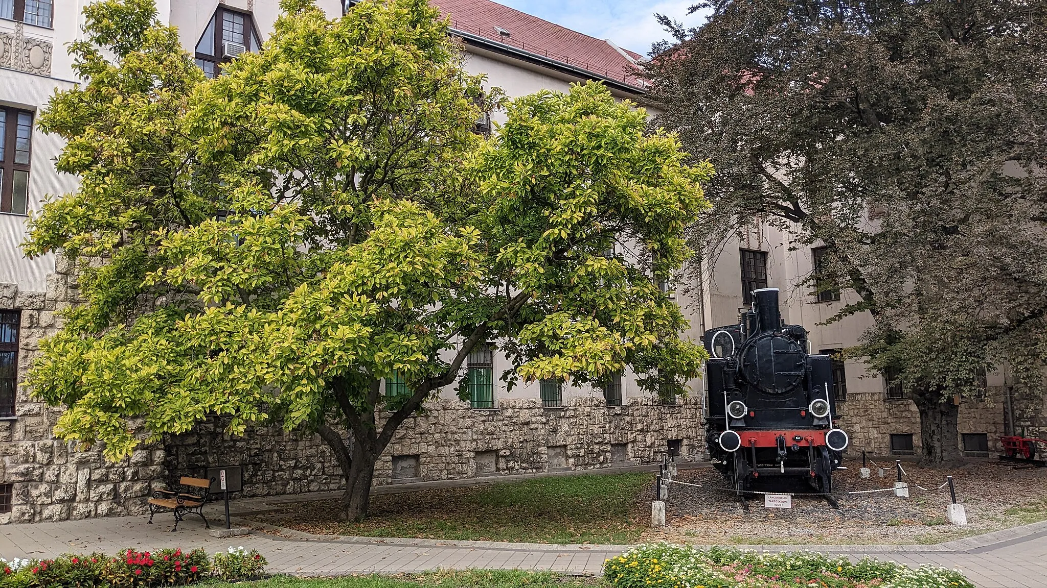 Photo showing: Locomotive in front of MÁV building at Indóház square in Pécs