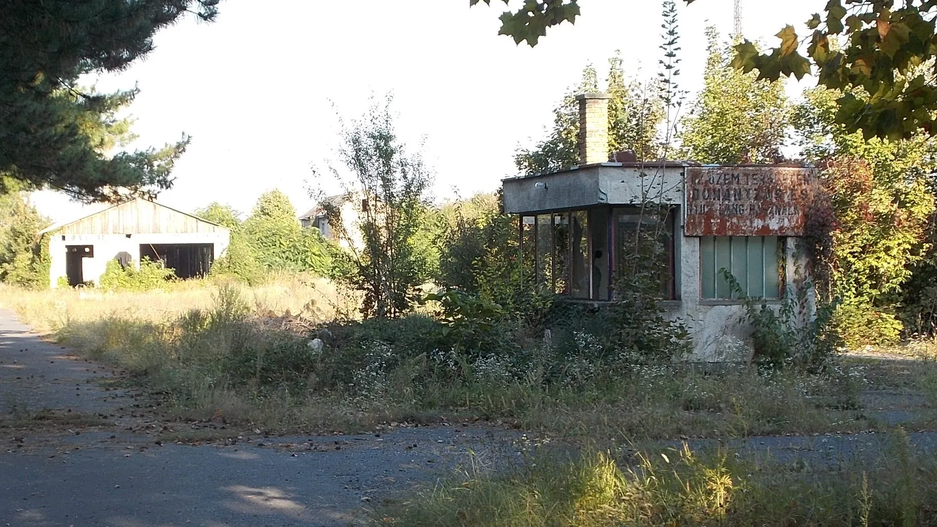 Photo showing: : Abandoned industry area. Former a rail track sleeper manufacturing company operated here. - 8 Kórház utca?, Dombóvár, Tolna County, Hungary.