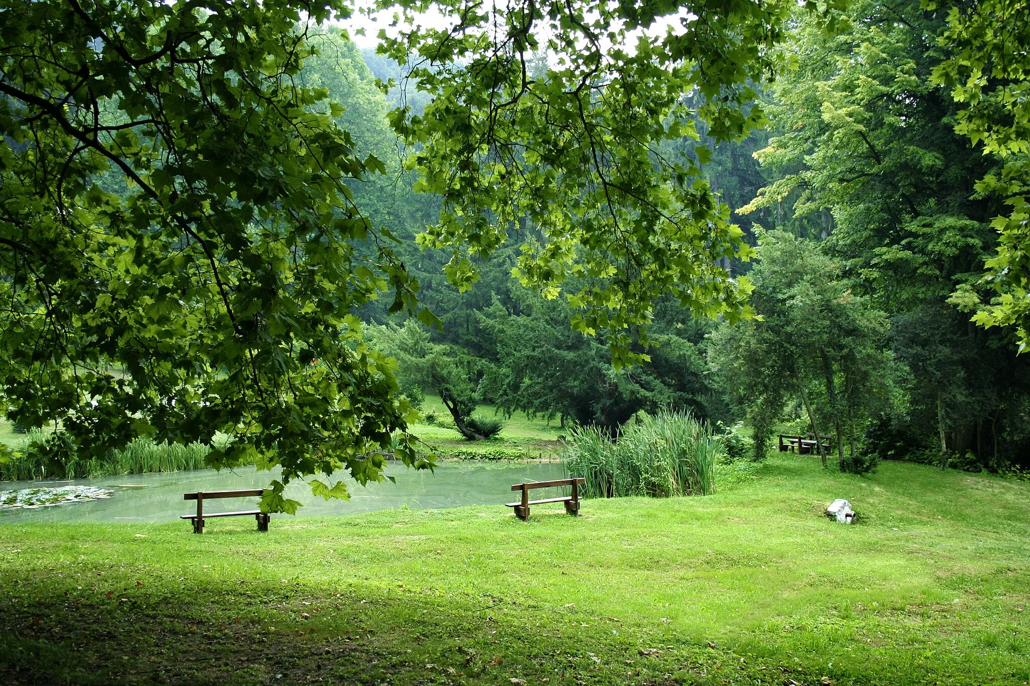 Photo showing: Püspökszentlászló - Arborétum