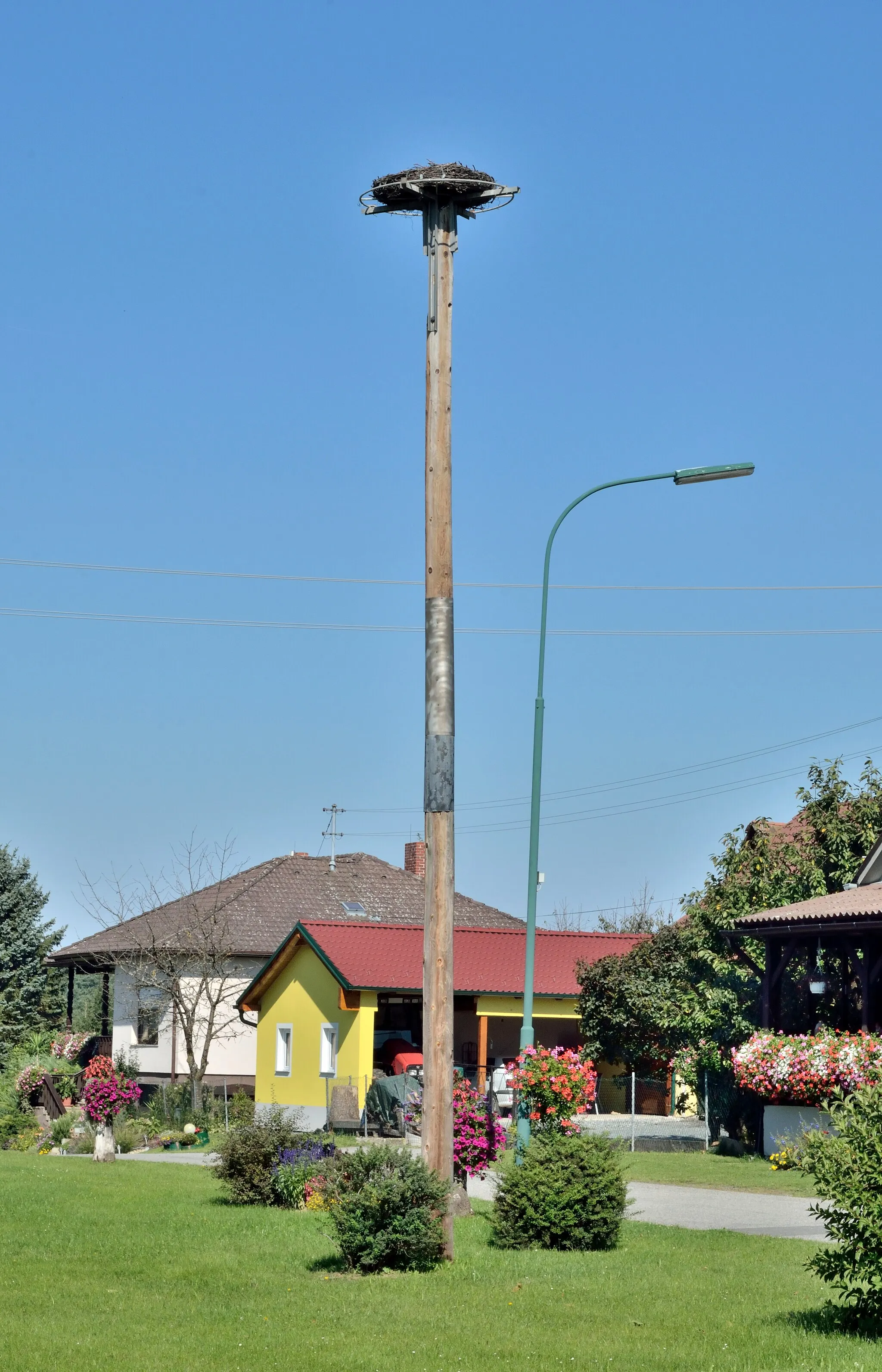 Photo showing: Storchennest auf Mast, in Steinfurt, Gemeinde Strem, Burgenland.