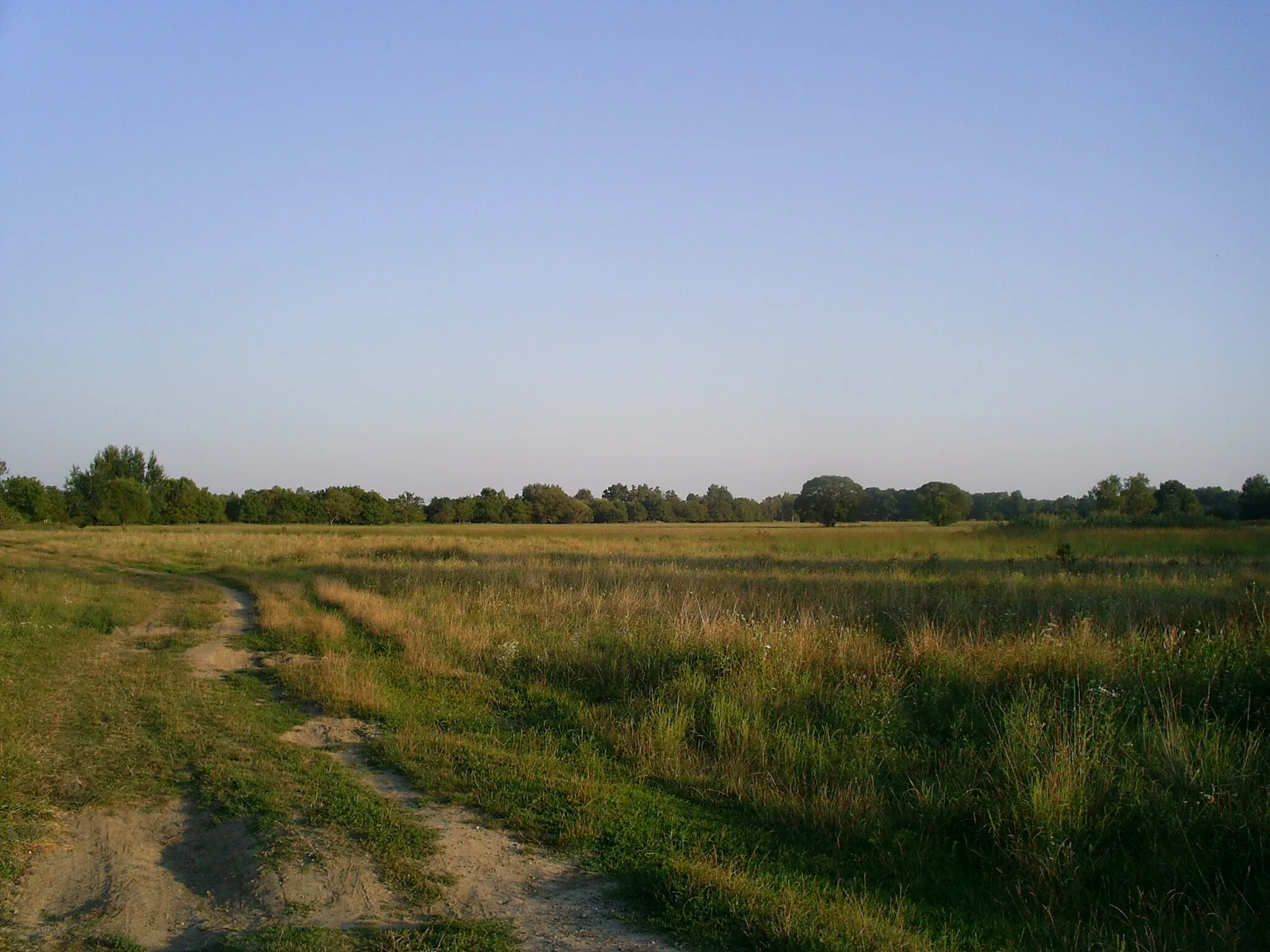 Photo showing: pasture, east of Merenye, near of a road between Merenye and Poklosi