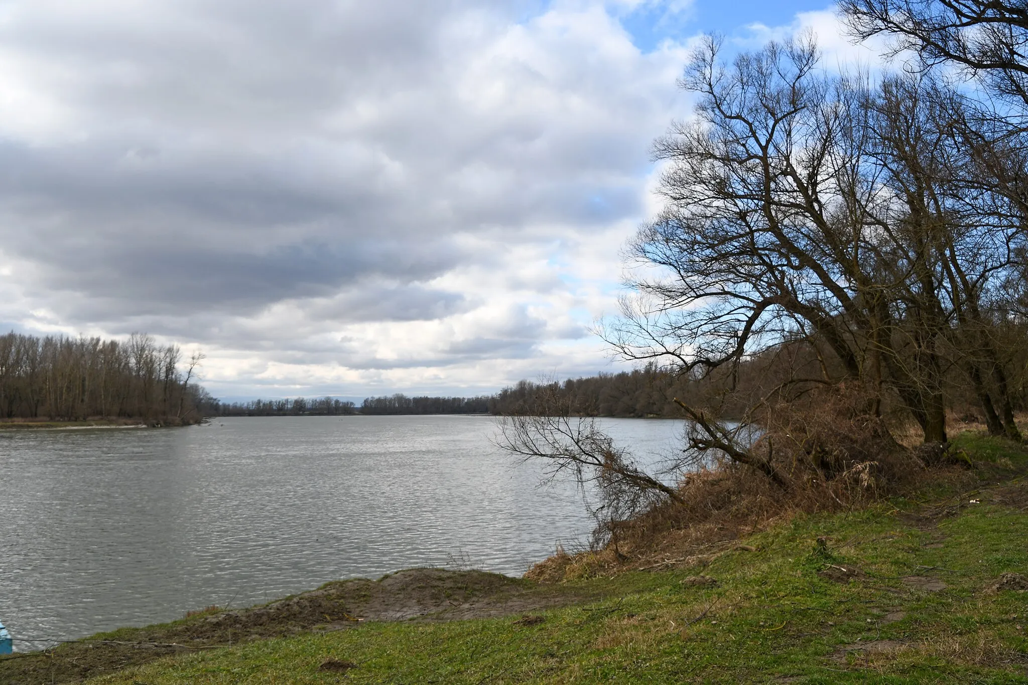 Photo showing: The Drava river by Drávasztára, Hungary