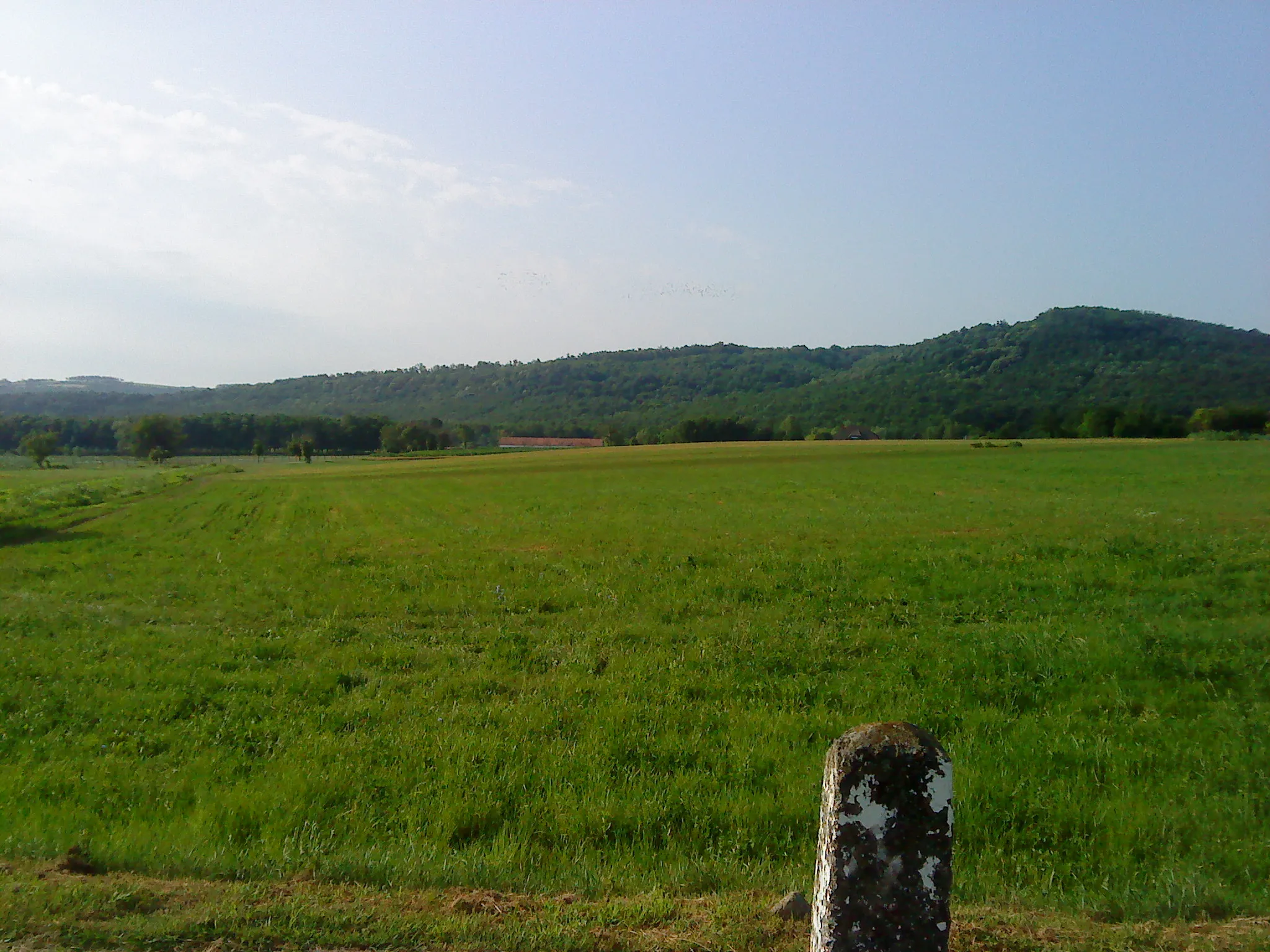 Photo showing: Kistótfalu közepén lévő legelő