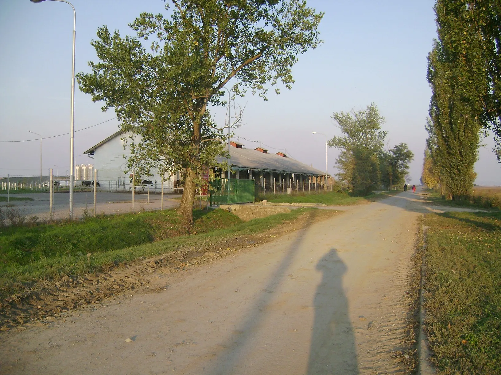 Photo showing: sh:Zeleno Polje (sh:Baranja) - Lokalna cesta L44005 (pogled prema Petlovcu)