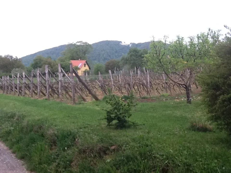 Photo showing: Among the wine cellars of southern Hungarian village Hosszúhetény, with the Hármashegy mountain.