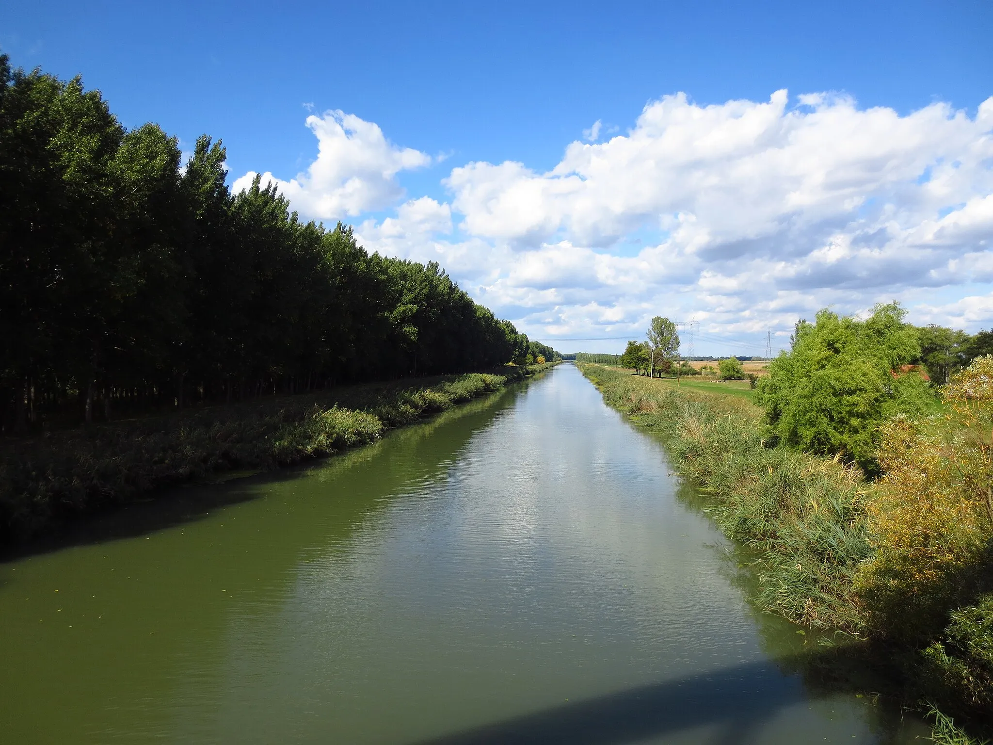 Photo showing: Keleti Canal (Hungarian Keleti-főcsatorna) near Nagyhegyes.