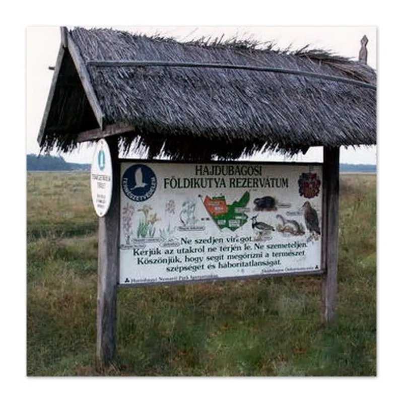 Photo showing: Hajdúbagosi földikutya-rezervátum természetvédelmi terület (Hortobágyi Nemzeti Park része), figyelmeztető tábla, Hajdúbagos