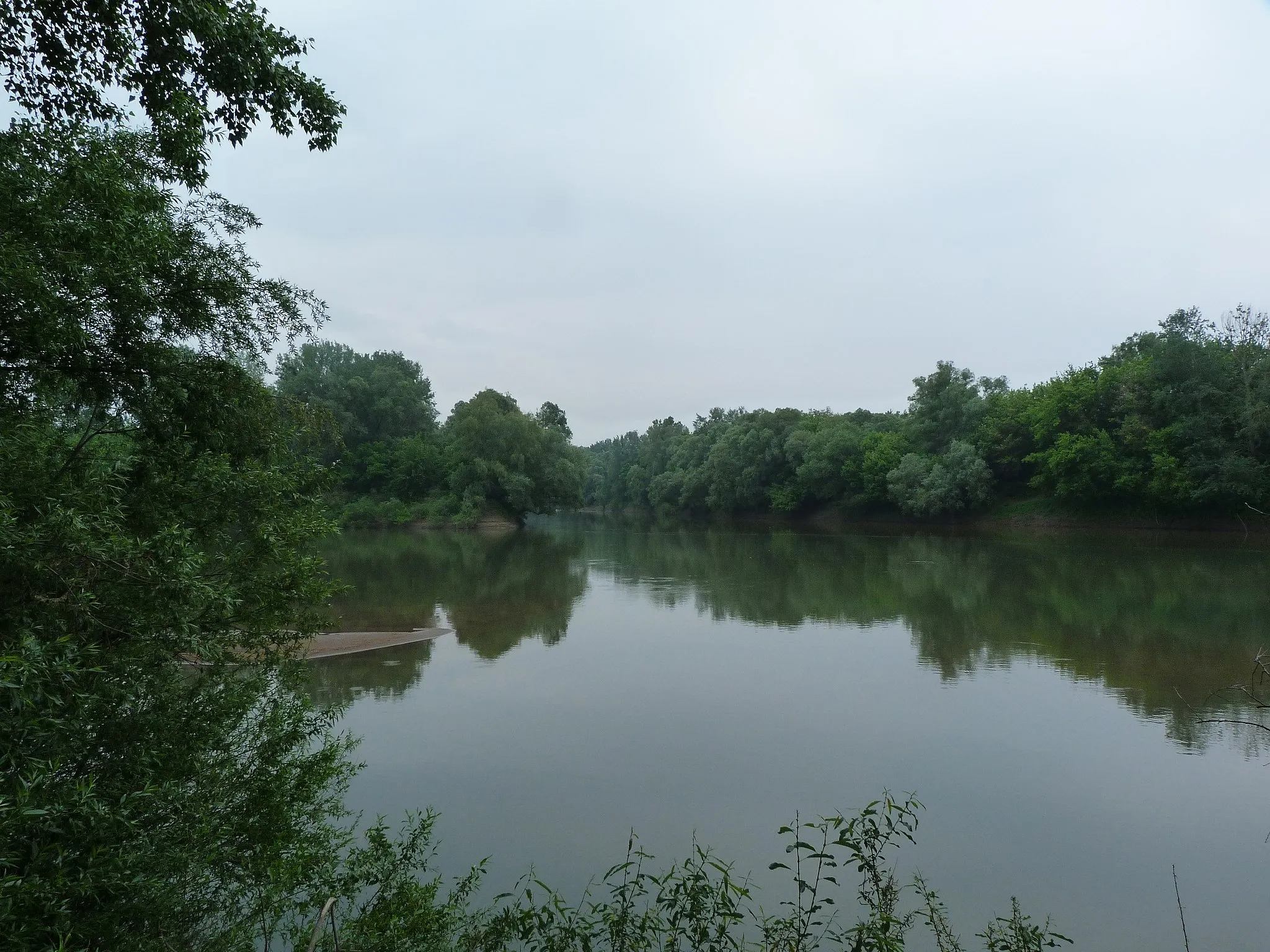 Photo showing: Live on the 15th of  May, 2013. Gergelyiugornya (Vásárosnamény), Hungary, Central Europe. The point where Szamos river joins Tisza river.©© Derzsi Elekes Andor, Budapest, 2013, You are authorised to use this  vid under Creative Commons – even for commercial, for profit - purposes. The vid must be attributed to Derzsi Elekes Andor. All of the photos and vids in the Metapolisz DVD line are under Creative Commons and can be used even for commercial – for profit – purposes. Recommended Citation Derzsi Elekes Andor: Metapolisz DVD line http://nektar.oszk.hu/en/manifestation/2623913
Sources: szamostura.hu, vasarosnameny.hu,  
A Szamos és a Tisza összefolyása - 2013
A felvételek 2013. Május 15 –én szerdán készültek Gergeilyugornyán (Vásárosnamény közigazgatási területe).  A Szamos és a Tisza összefolyása. 
Források: szamostura.hu, vasarosnameny.hu

Conflux of the Tisza and Szamos rivers - 2013