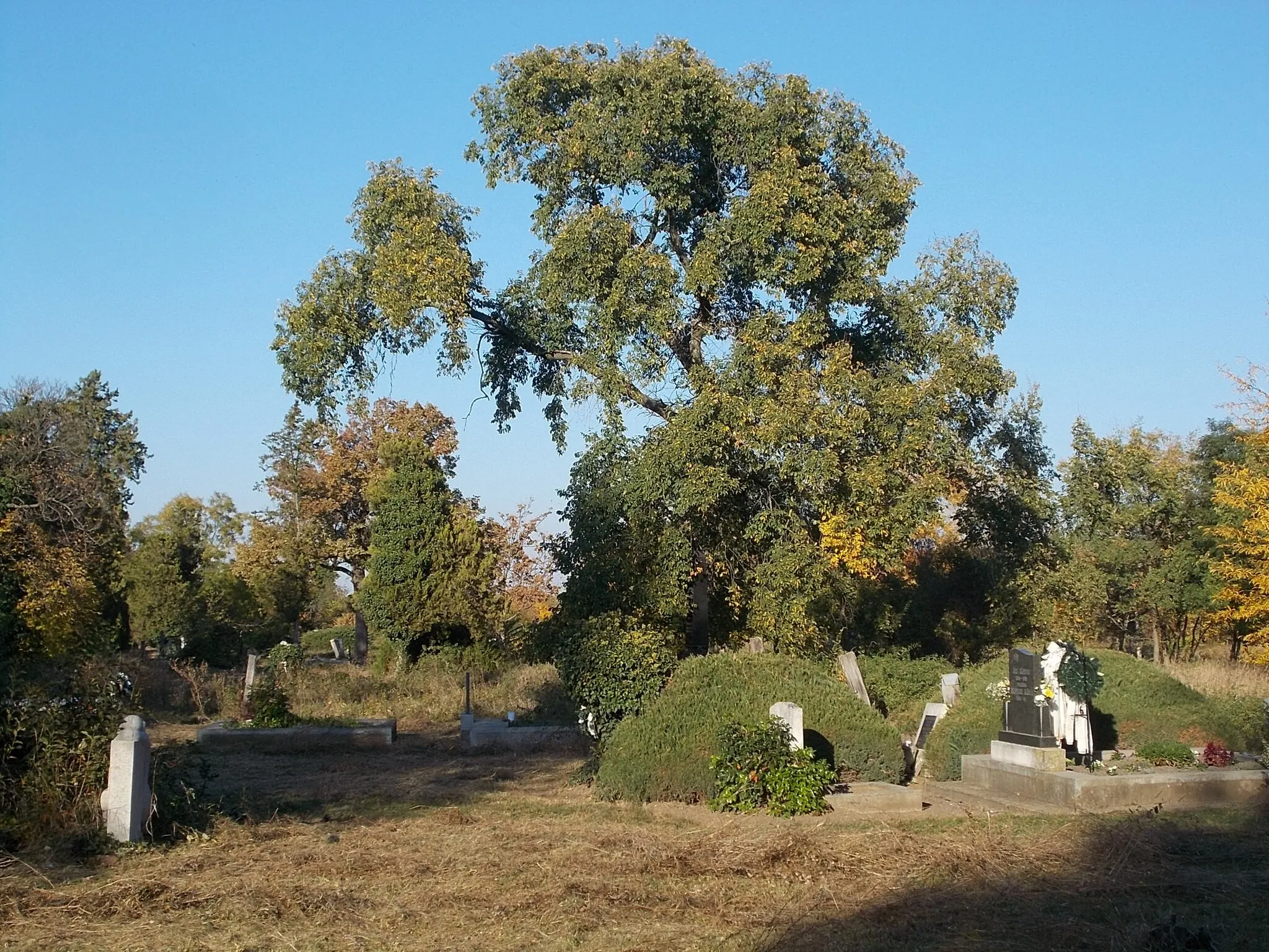 Photo showing: : Északi (North) cemetery (Est. 1810). Reformed cemetery. - Hideg street off,  Fanzug neighborhood, Karcag, Jász-Nagykun-Szolnok County, Hungary.