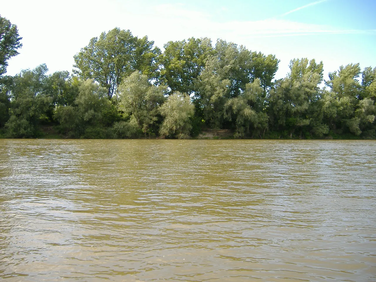 Photo showing: The Tisza at Tiszapüspöki (Hungary)