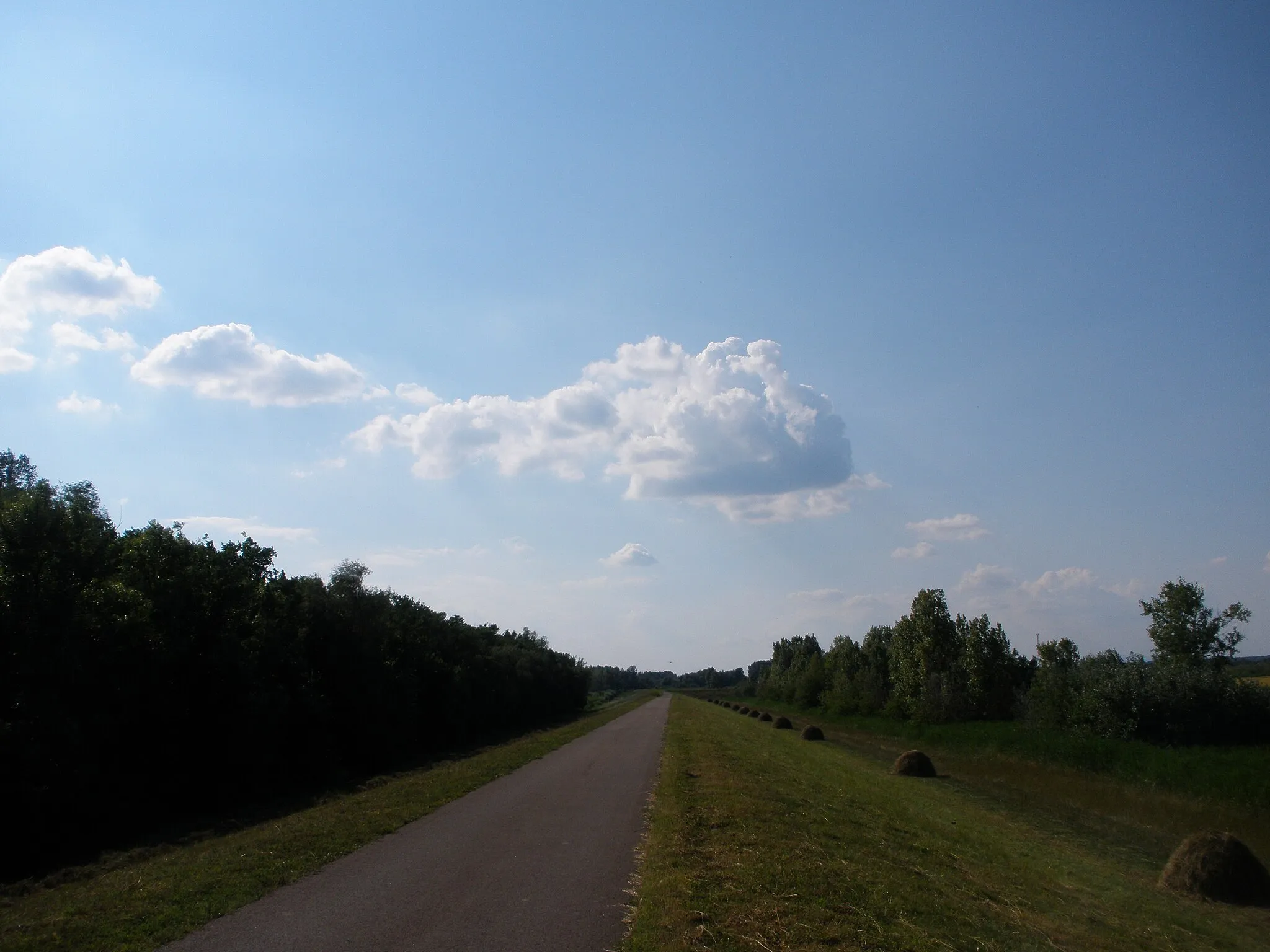 Photo showing: A Tisza gáti táj (2011 nyár)