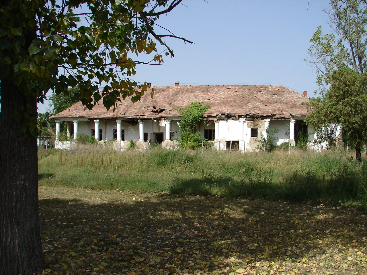 Photo showing: Tiszaderzs, Borbély-kúria, azonosító 6065 (törzsszám 4041) - Jász-Nagykun-Szolnok m., Tiszaderzs, Fő út 18.