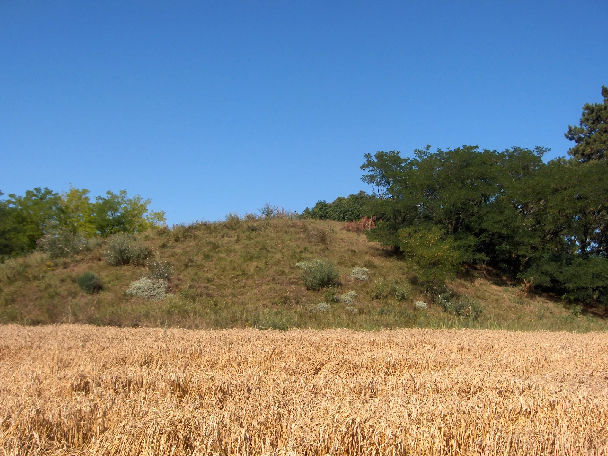 Photo showing: Kántor-mound (kurgan) near the city Szentes.