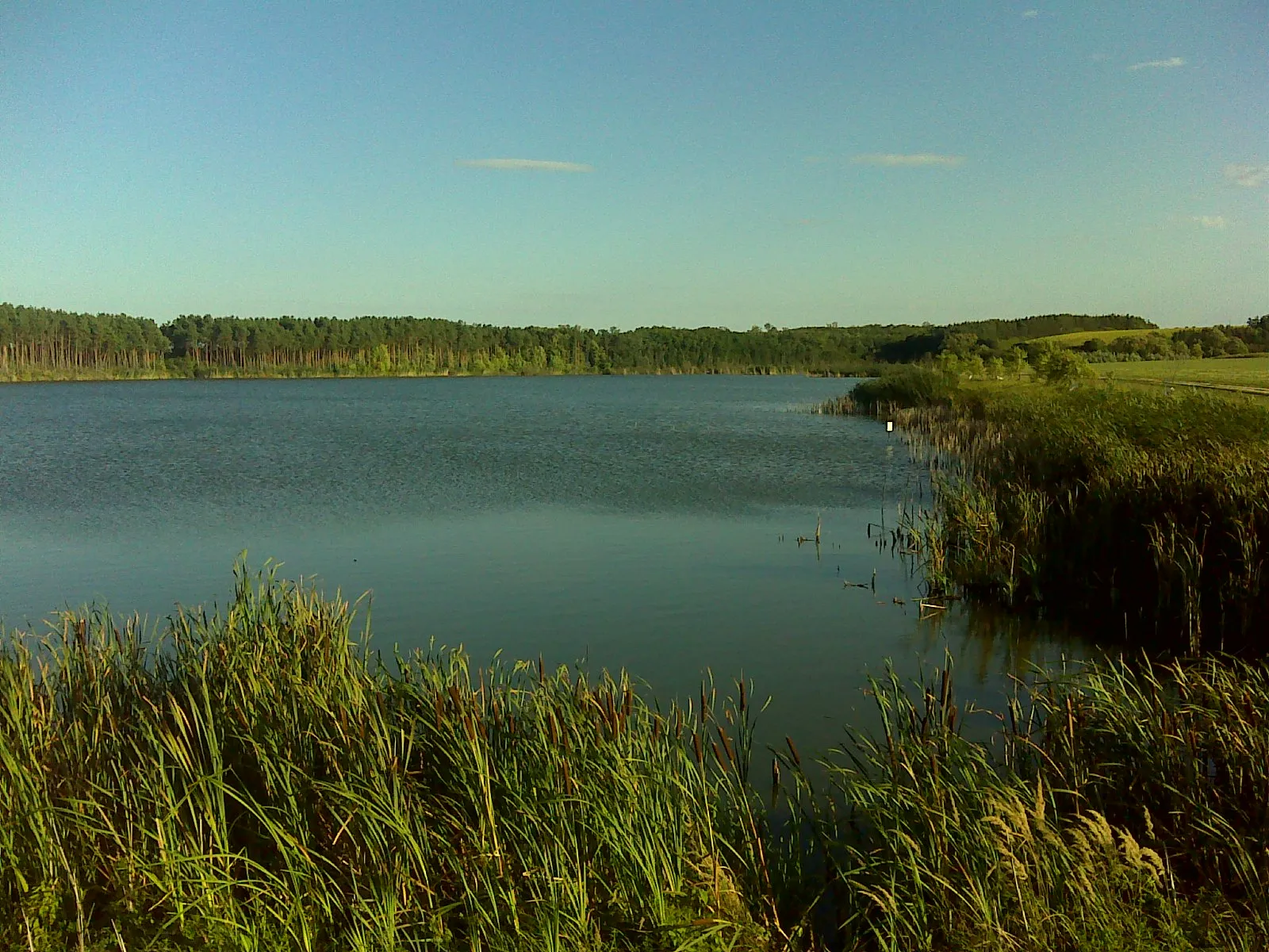 Photo showing: Patak, 2648 Hungary