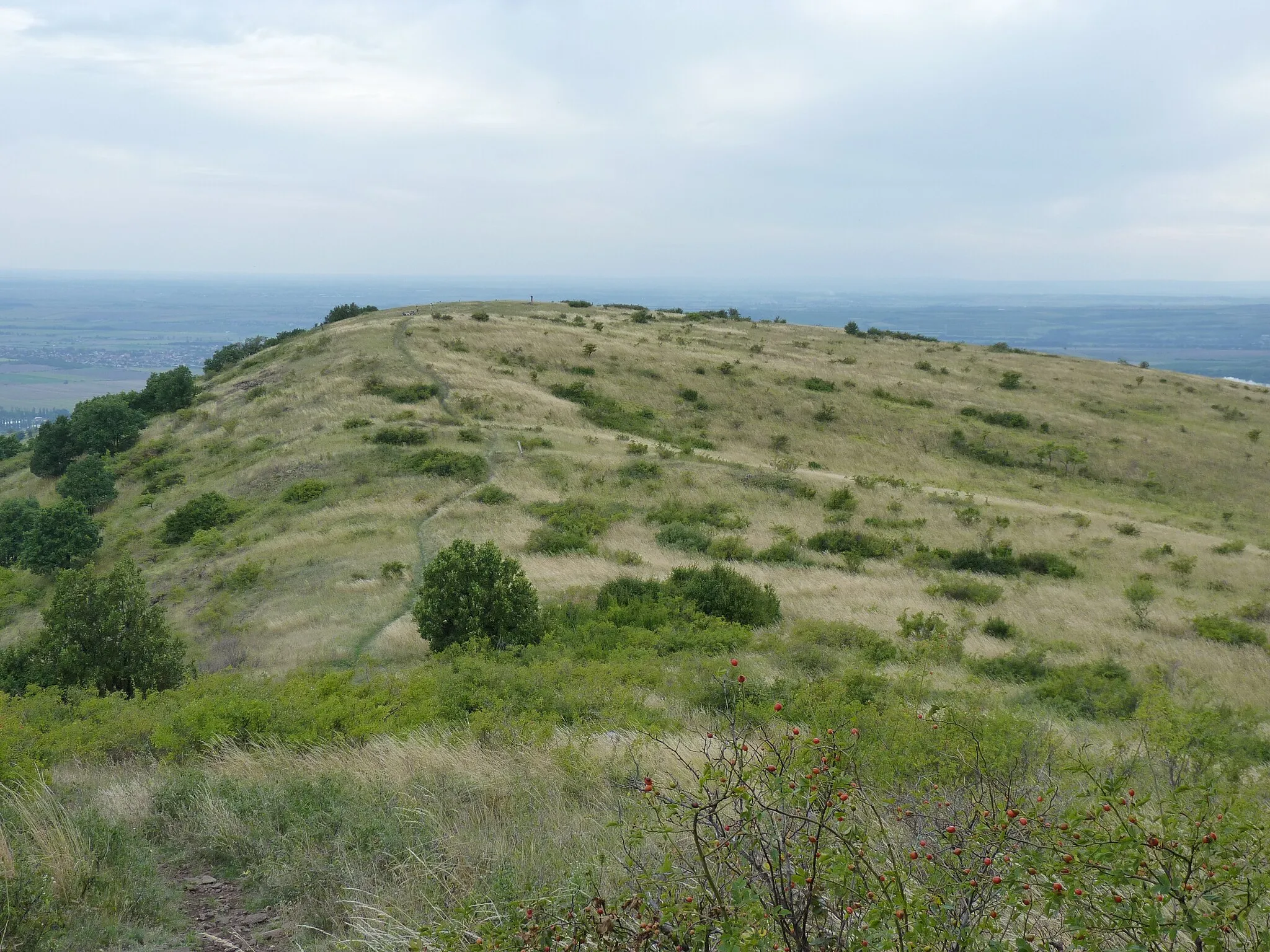 Photo showing: Cseplye Hill