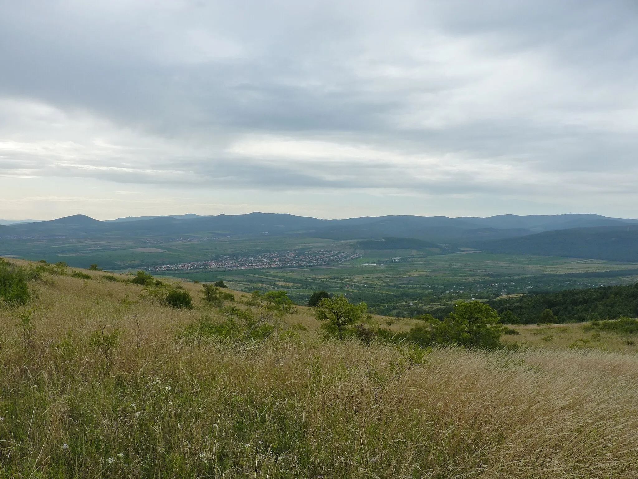 Photo showing: View of Mátra from Cseplye Hill