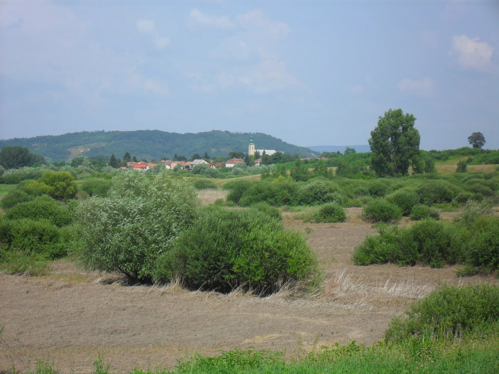 Photo showing: Őrhalom - tájkép, a háttérben Ipolyvarbó