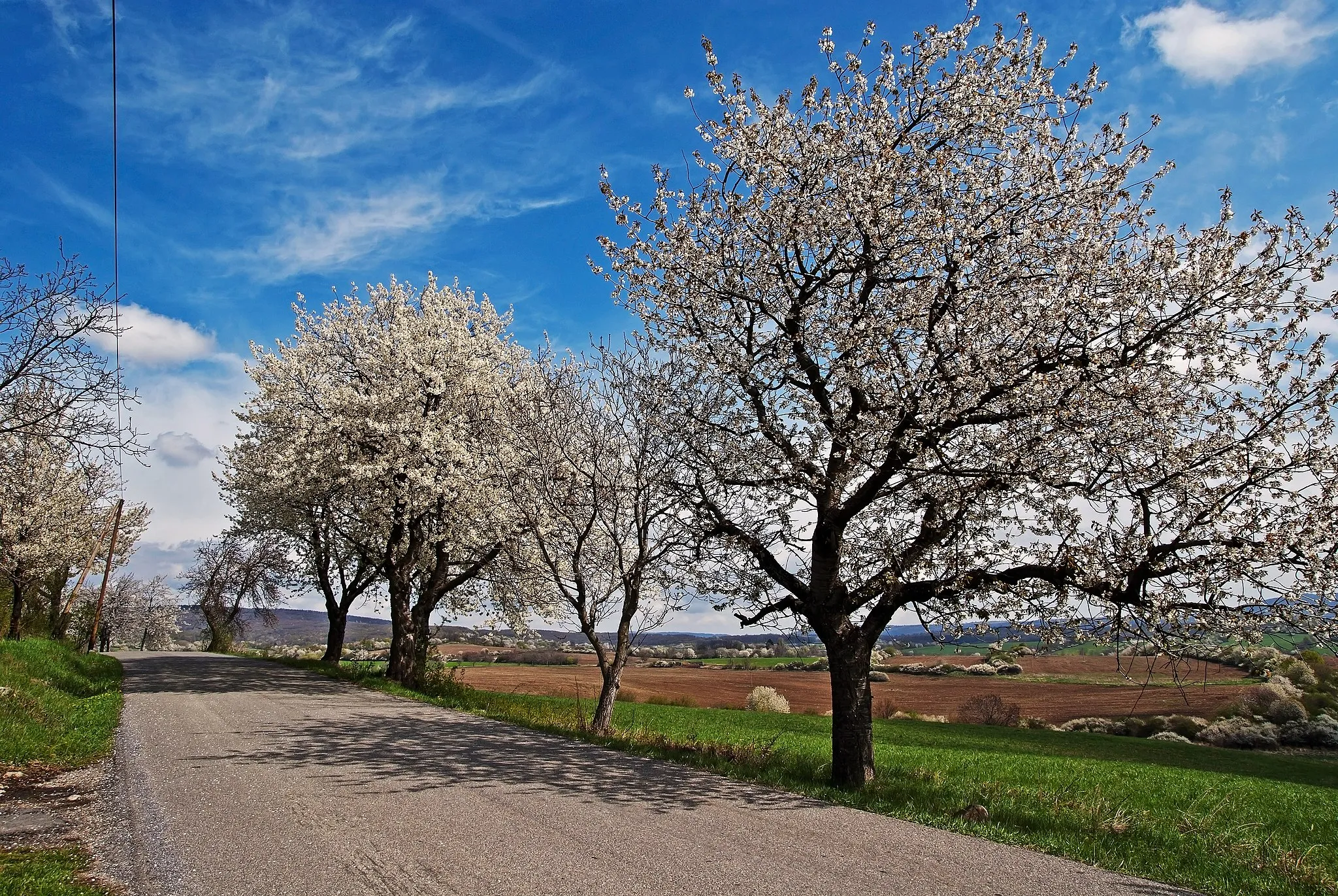 Photo showing: Chotár obce Veľký Lom