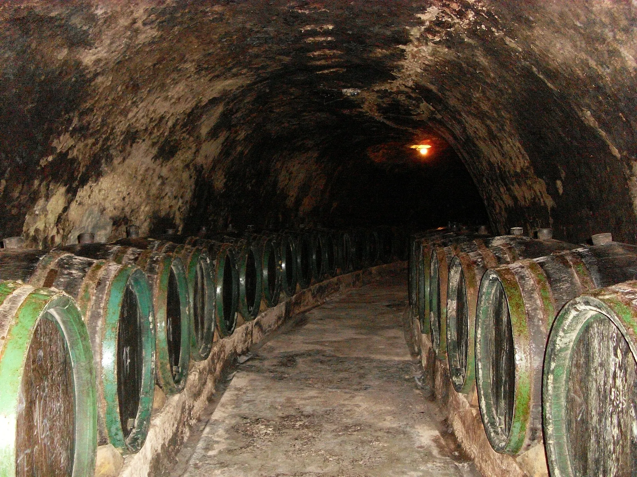 Photo showing: Cave of wine producer in Slovak Tokaj region /Tokaj & CO, s.r.o./