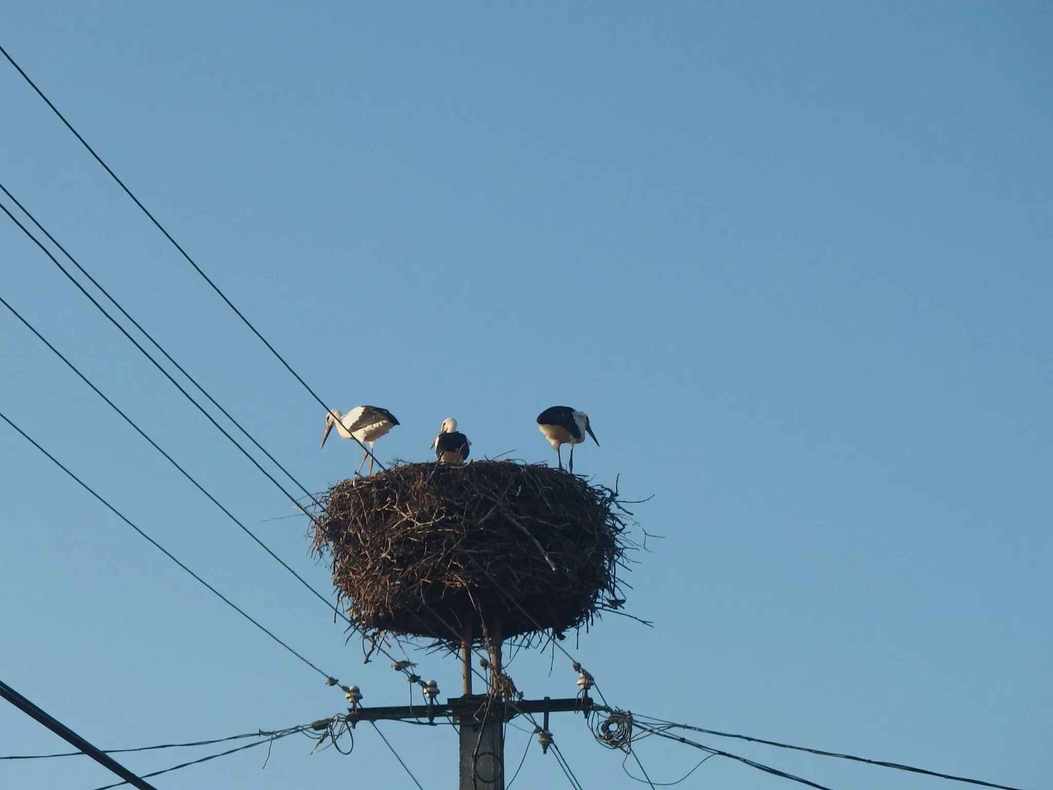 Photo showing: Vilmány, Hungary.