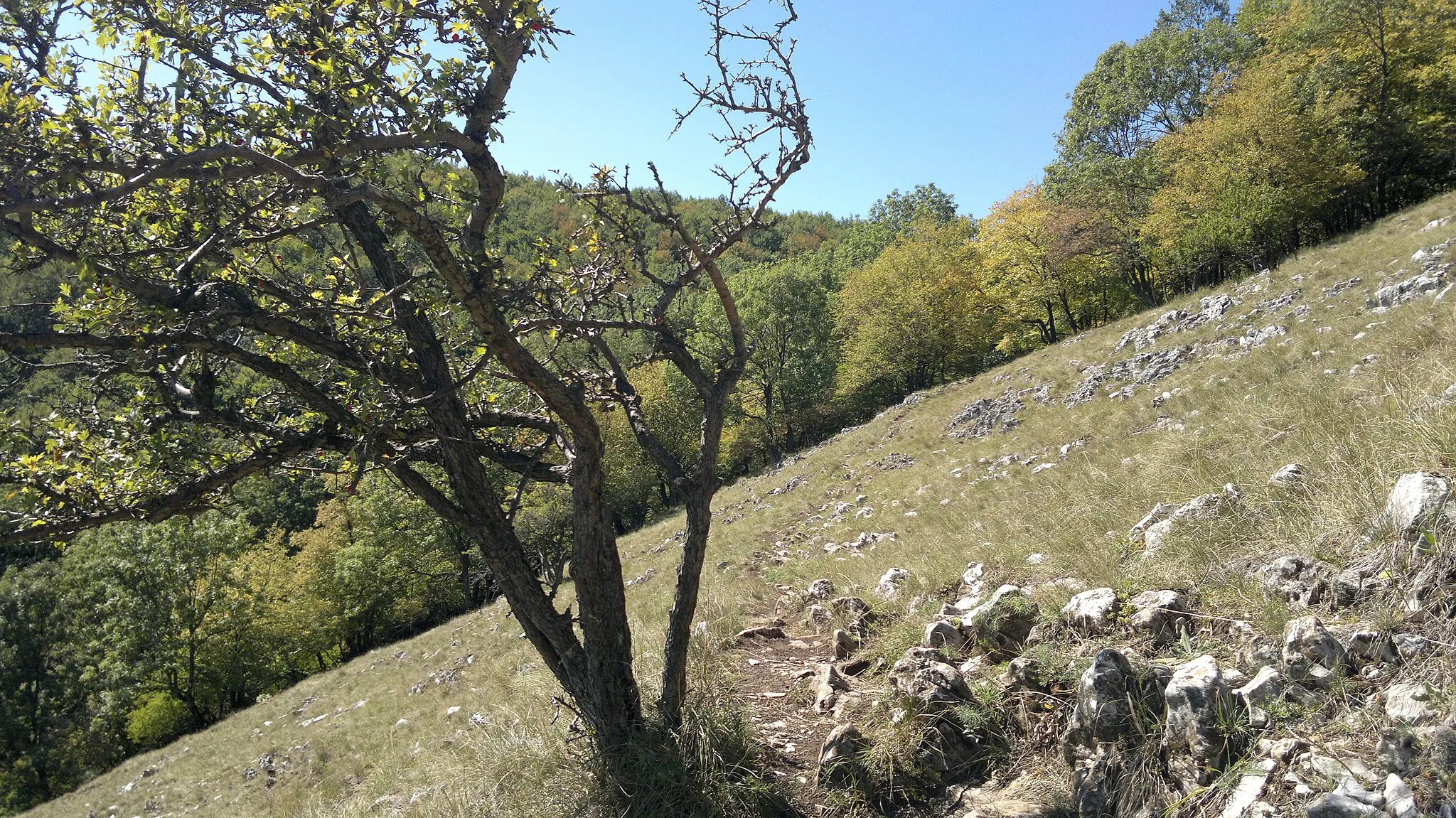 Photo showing: Vörös-kő bérc 3.