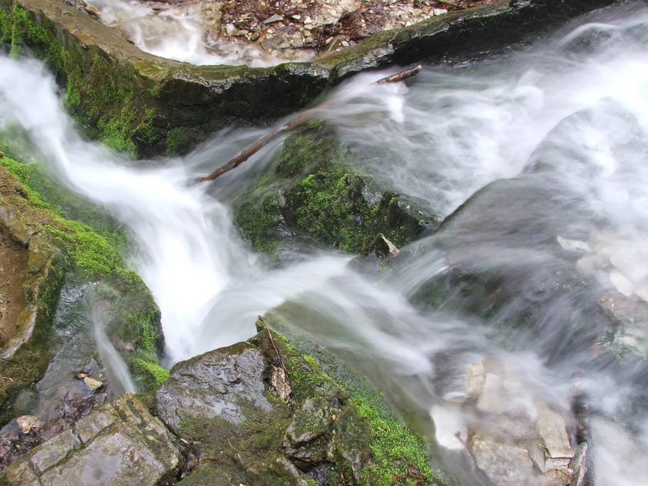 Photo showing: A Vöröskő-forrás vize utat tör magának (Bükk hegység)
