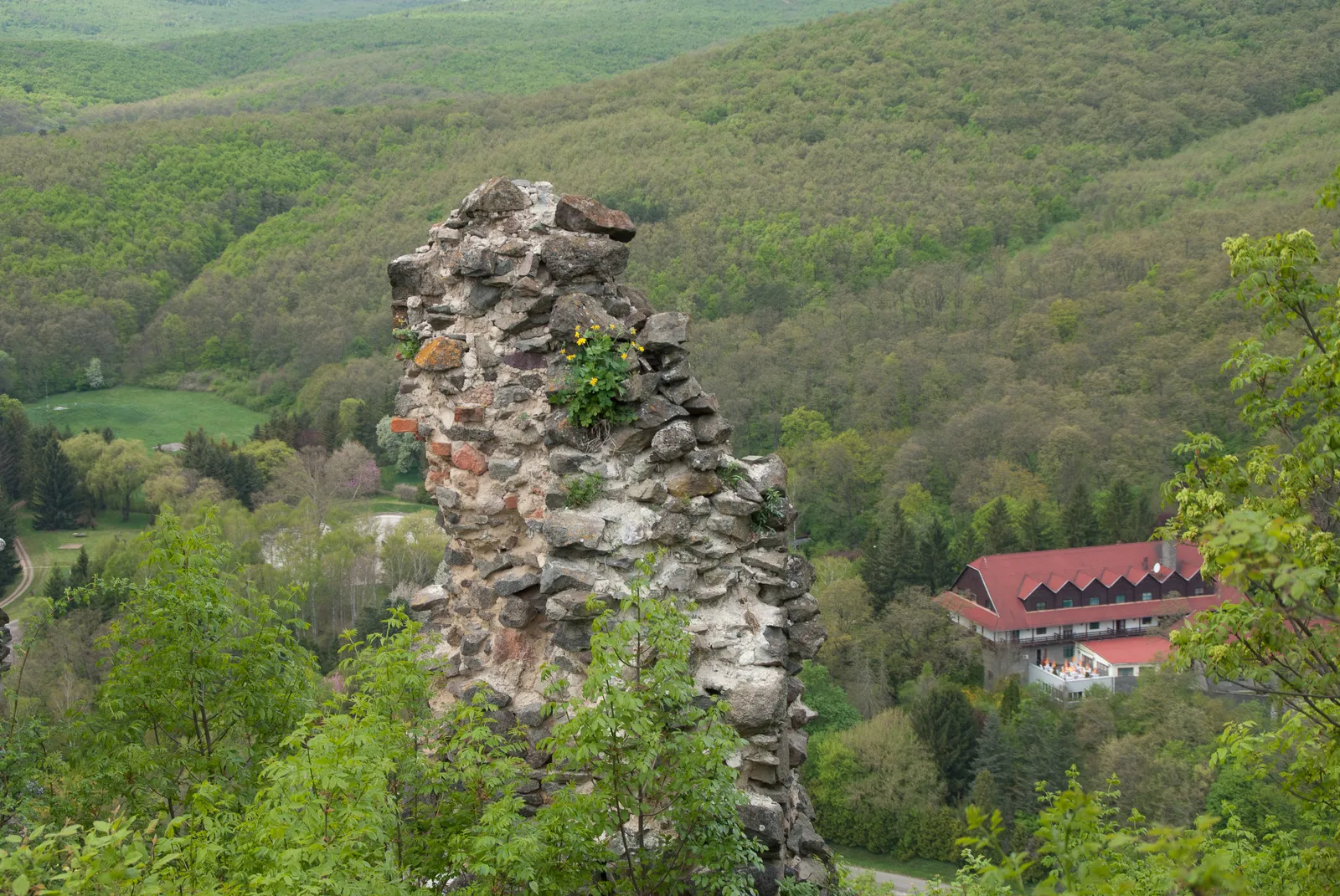 Photo showing: Buják várának romja (Buják, Őrhegyi út)