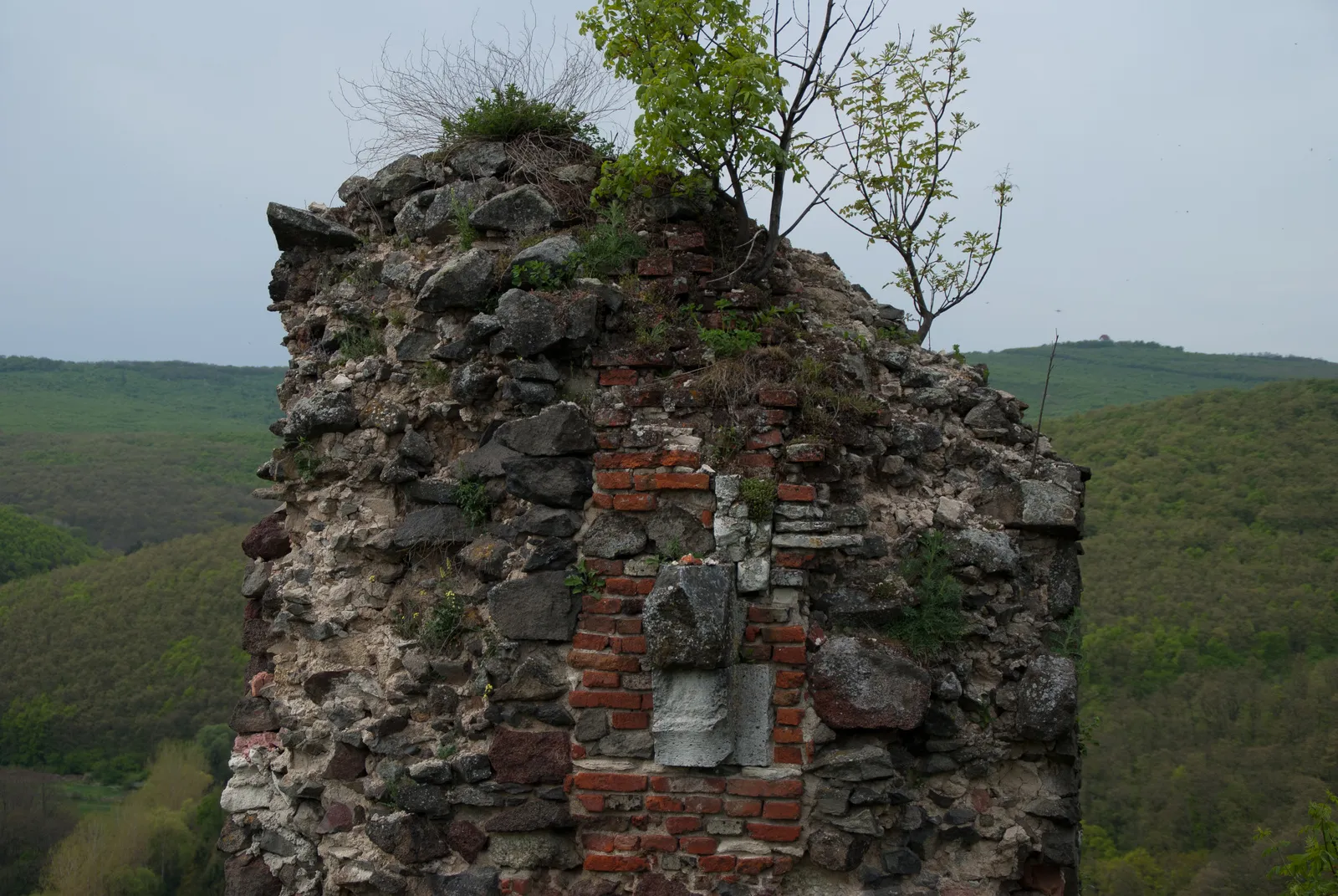 Photo showing: Buják várának romja (Buják, Őrhegyi út)