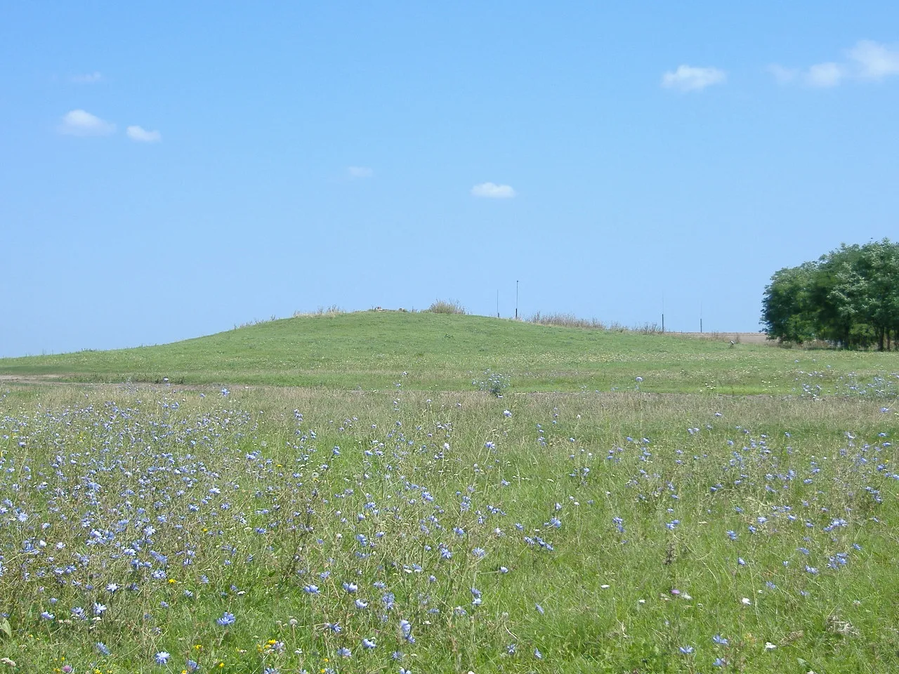 Photo showing: The Szálkahalom (Splintermound); Hortobágy National Park, Hungary